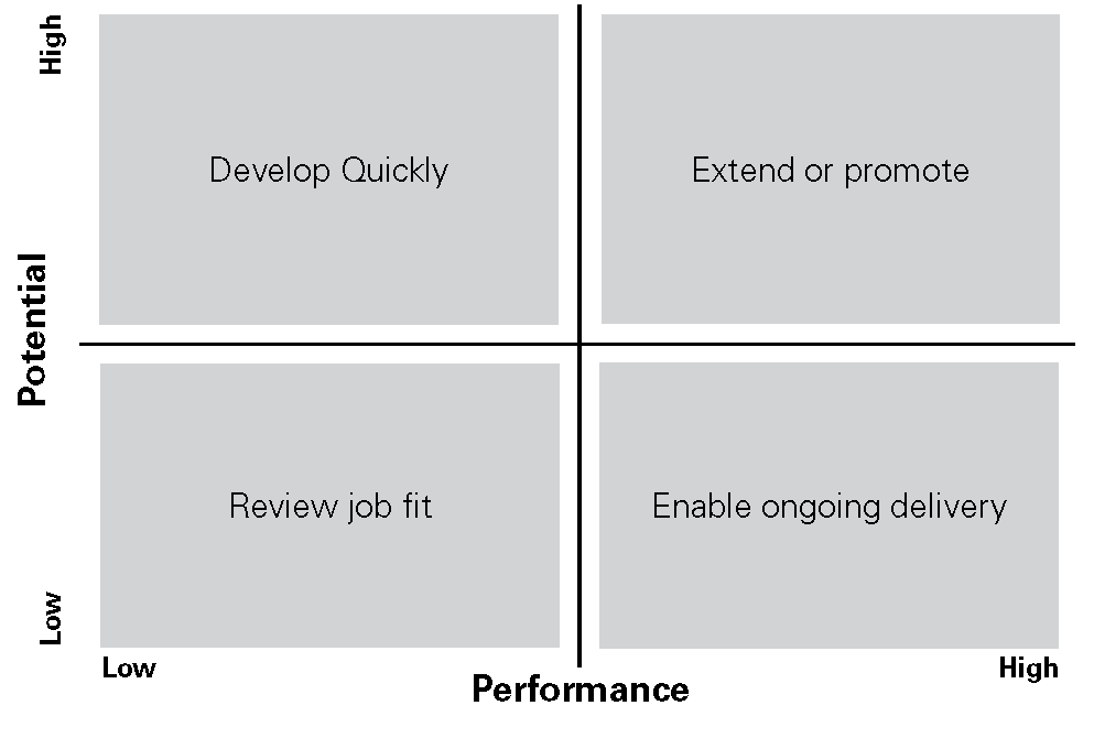 Figure 1. Performance and Potential Quadrant