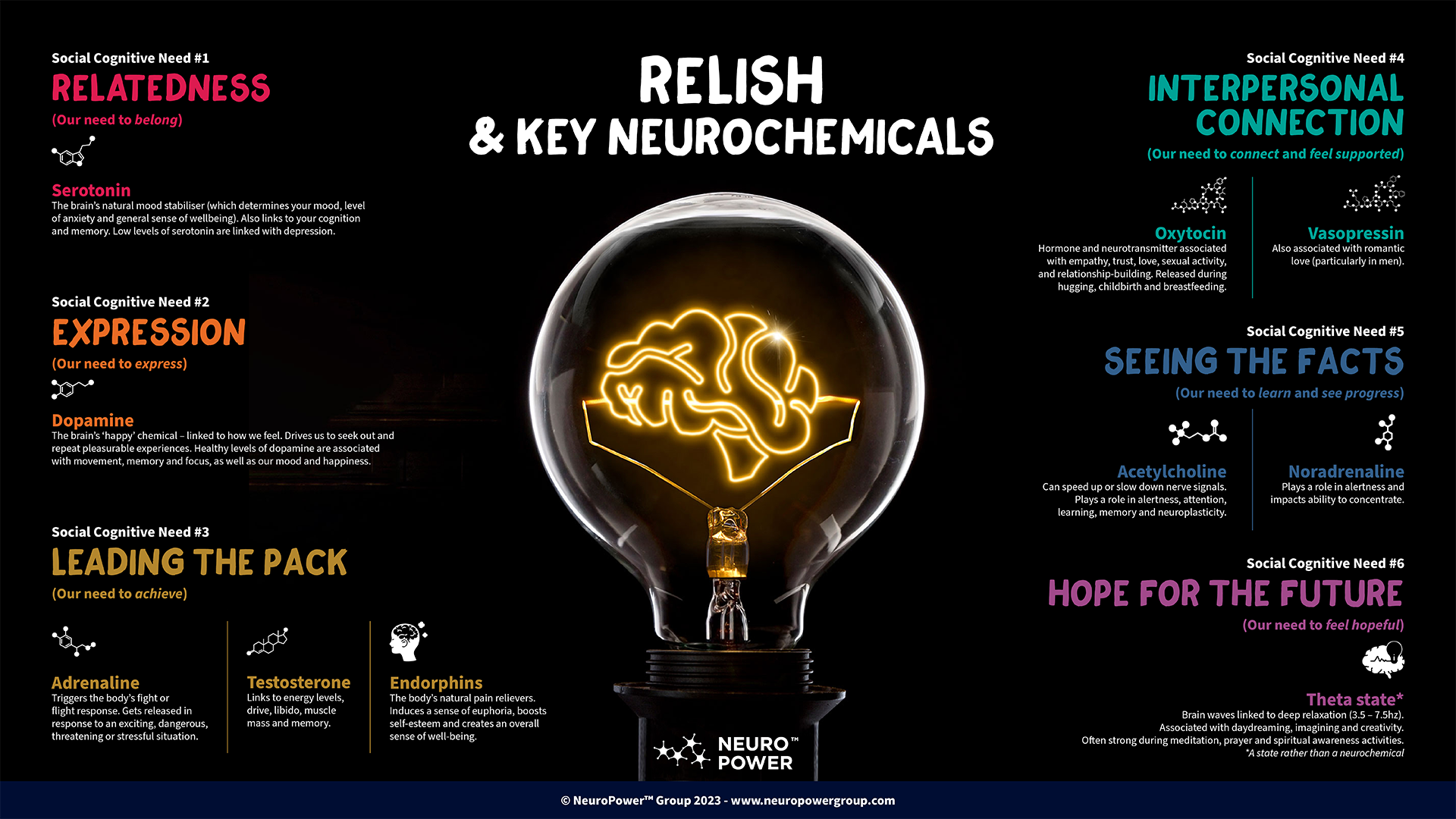 2day RELISH — NeuroPower Group
