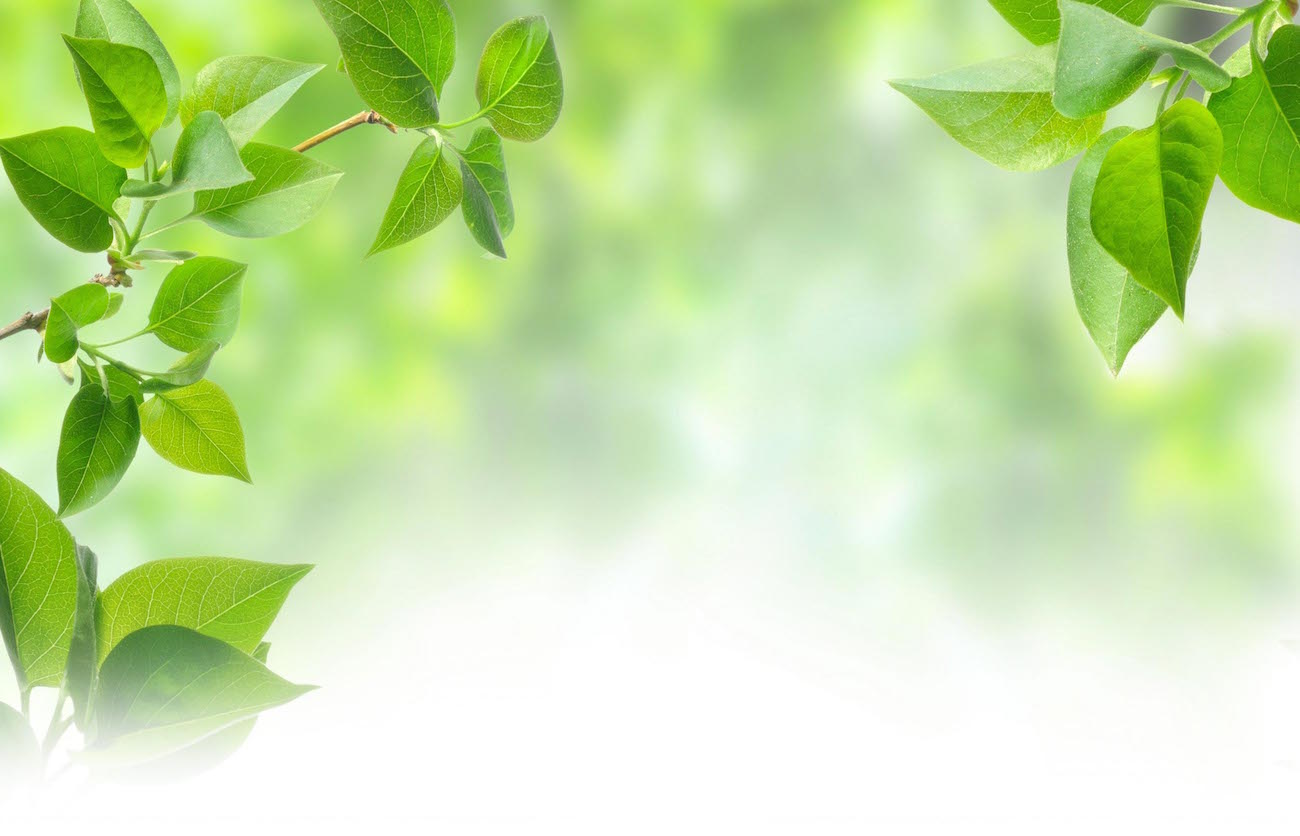 EnlightenedHealthSymposiumMicrosite_background-1.jpg