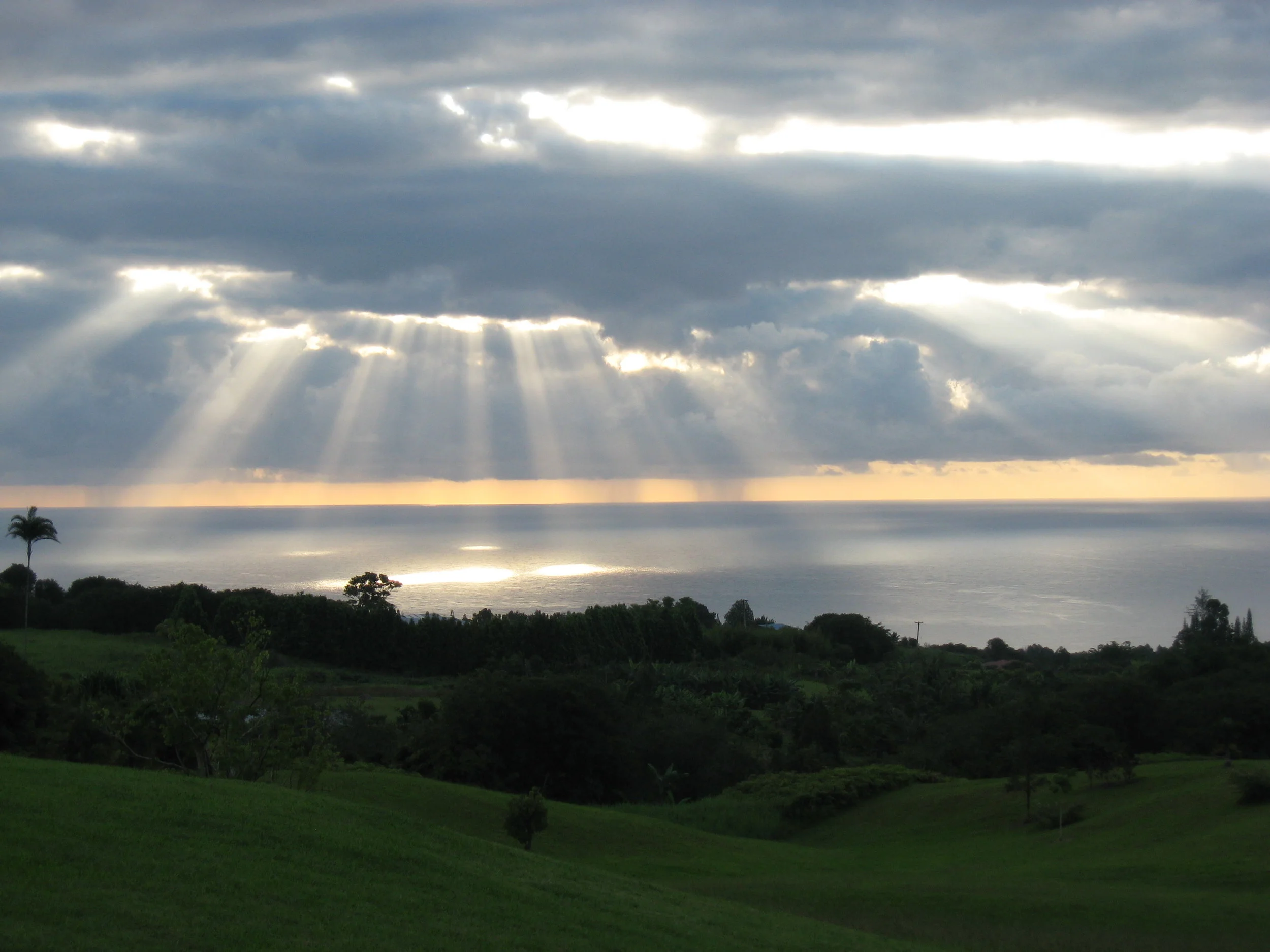 Nutritional Health and Healing: Factors Affecting Speed and Depth