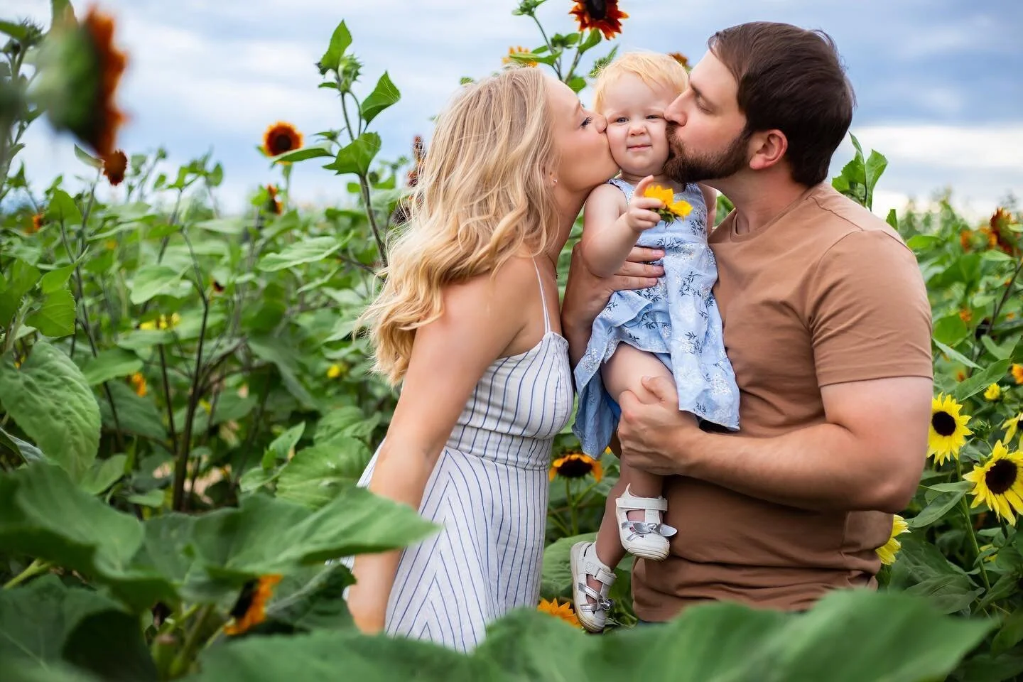 Sneak peak of @apaigeworth &lsquo;s family portraits at the sunflower field. How cute are they? #coloradophotographer #denverphotographer #familyphotographer