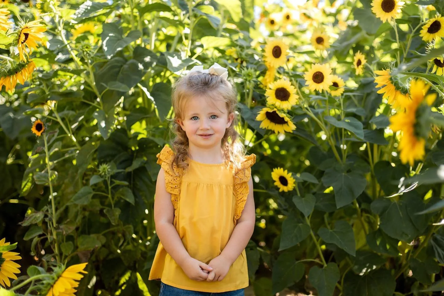 So many beautiful sunflowers 🌻 

#familyphotographer #denverphotographer #coloradophotographer