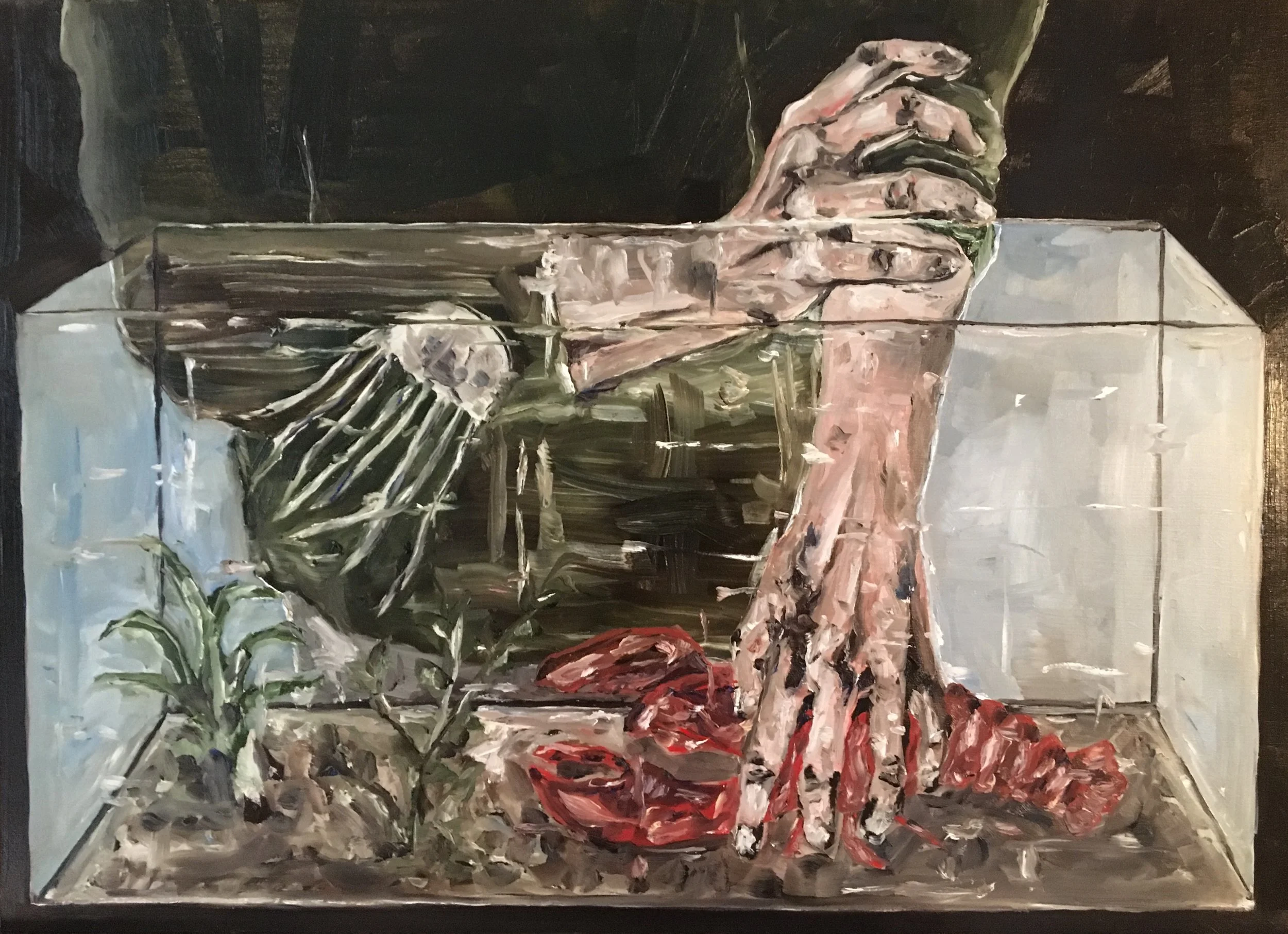 THE CATCH