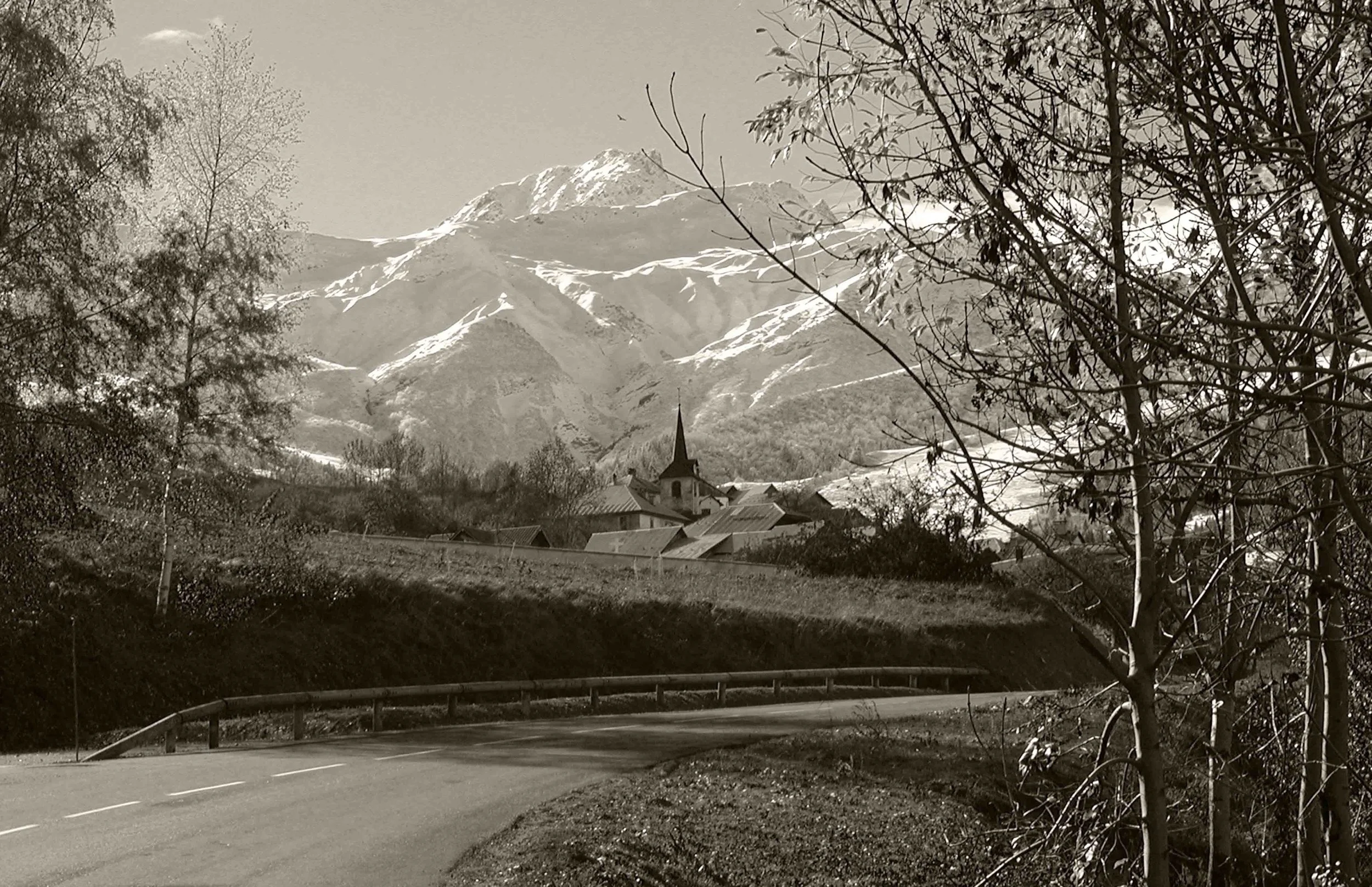 Ch-lieu_Fd_va_bouleaux_Sépia_PT