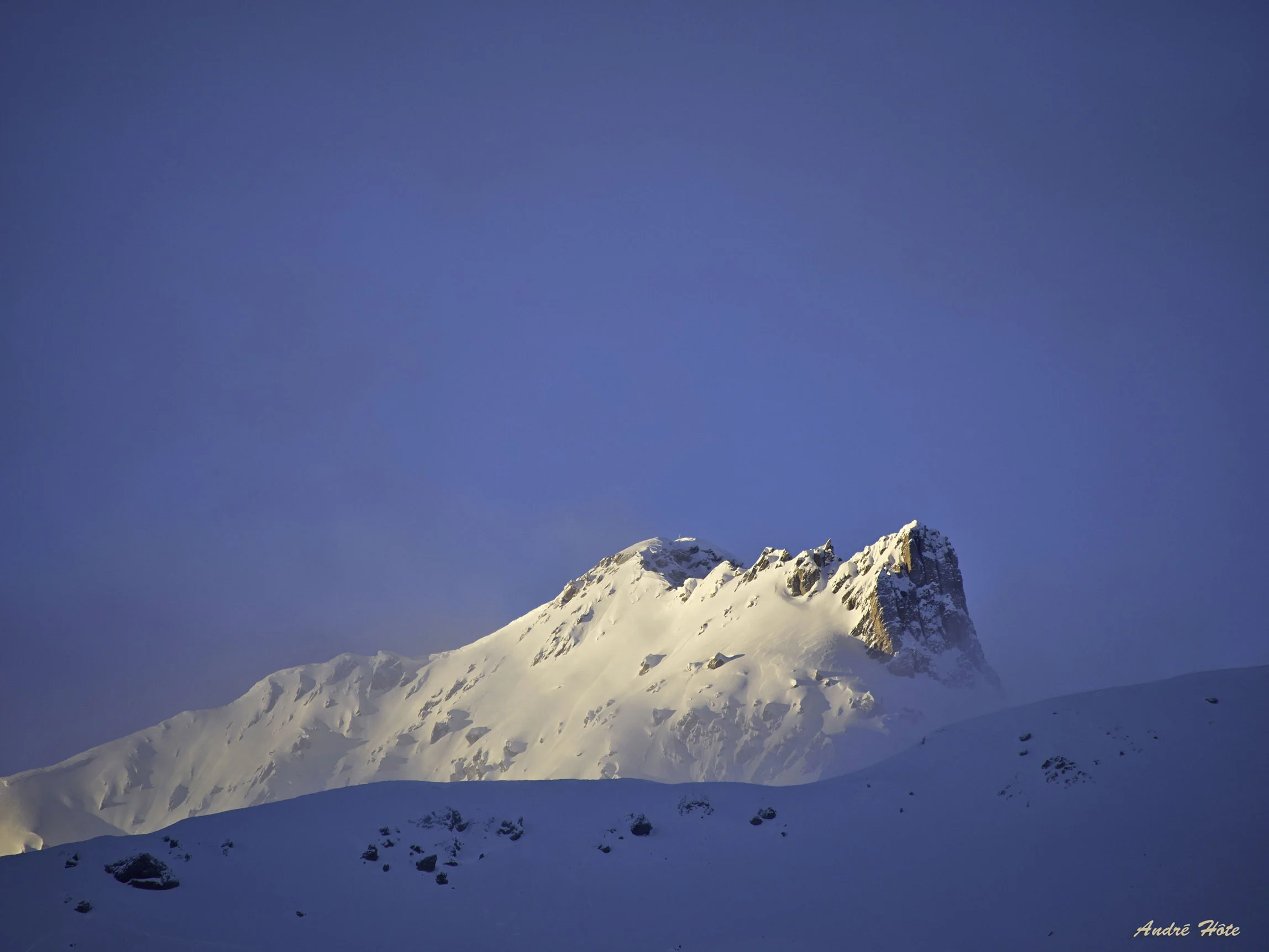 Cheval_Noir_matin_neige_1050090