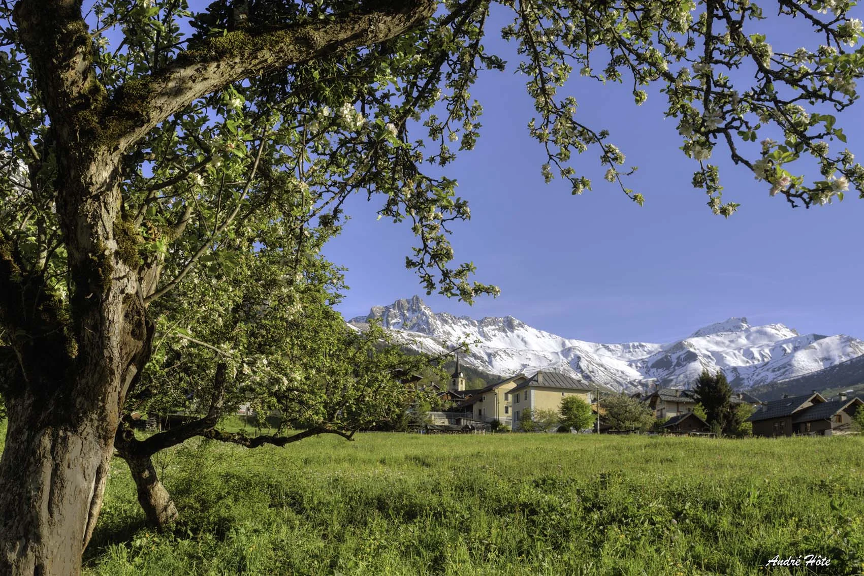 Fd_va_pommier_ch.lieu_1*2_5200018