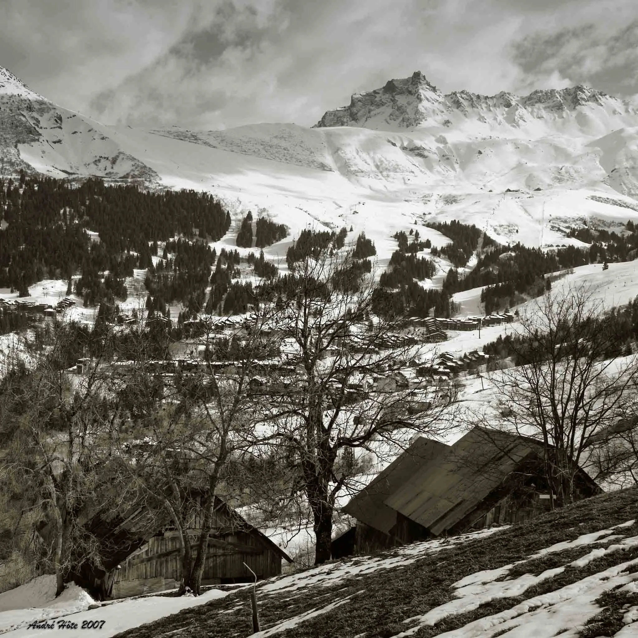 Montolivet_Valmo_2007_Sepia_5203