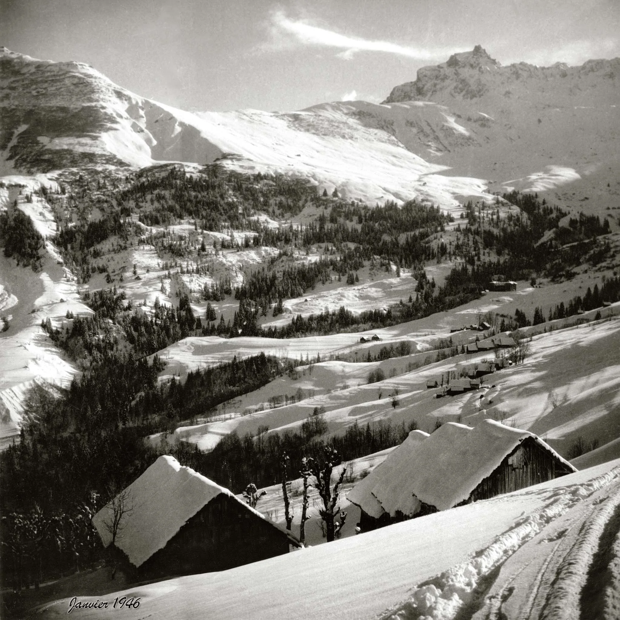 Montolivet_1946_Sépia_Ref