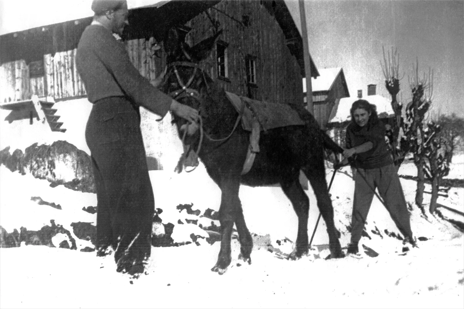 Mulet_ski_Le_Meiller