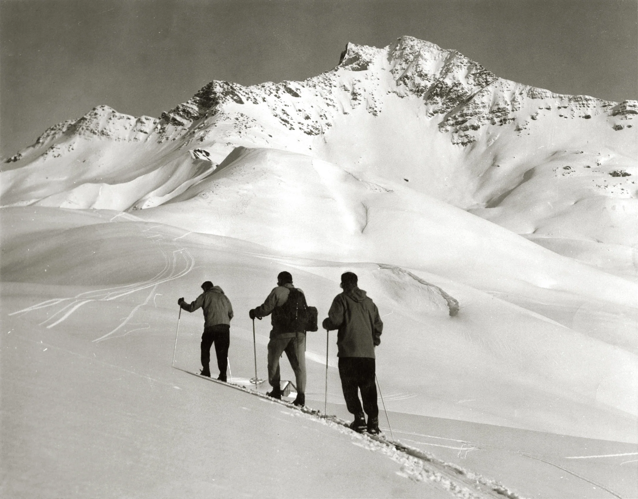 Peau_de_phoque_Madeleine