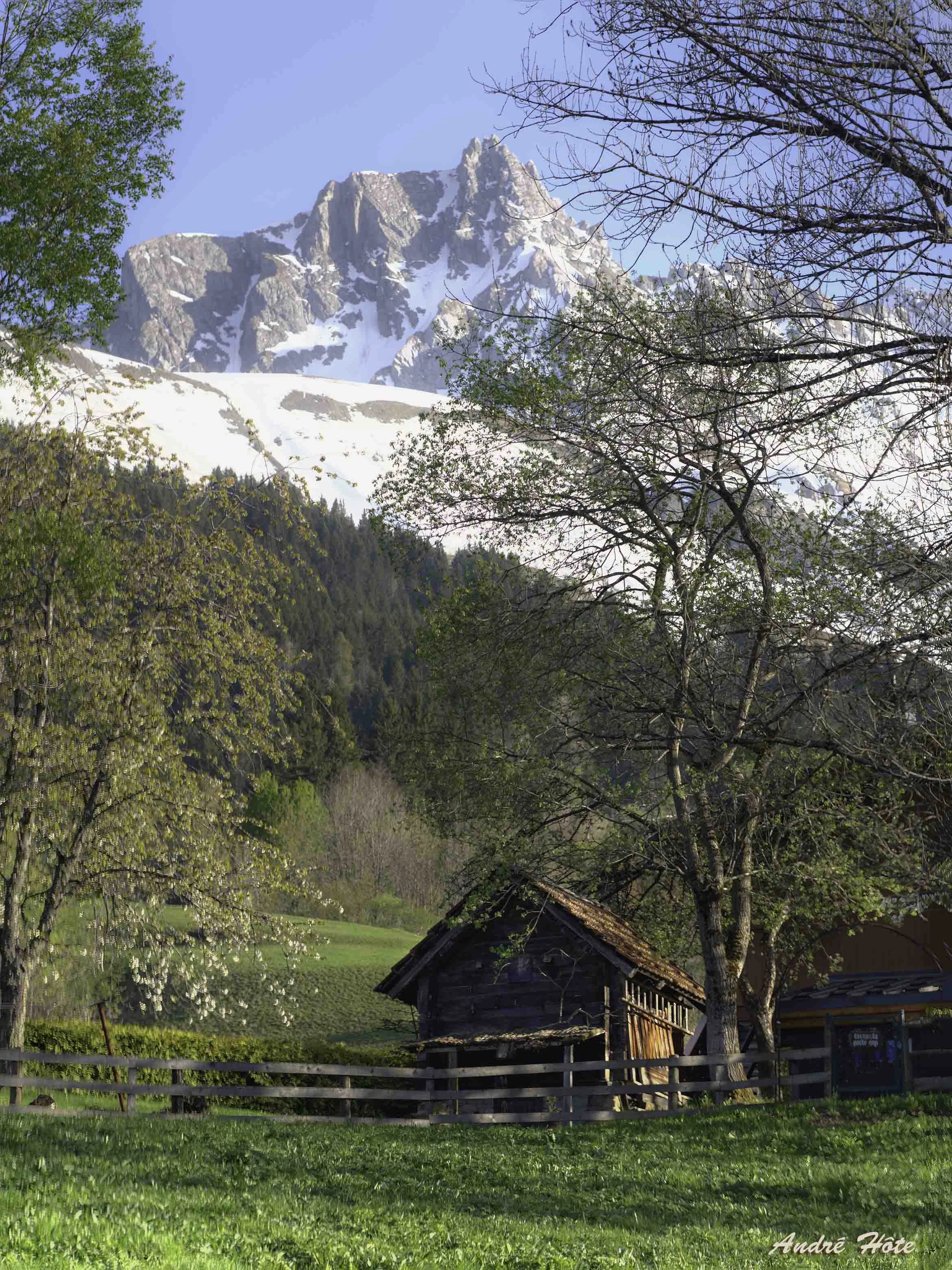 Cabane Tavaillon Niélard_1570701+