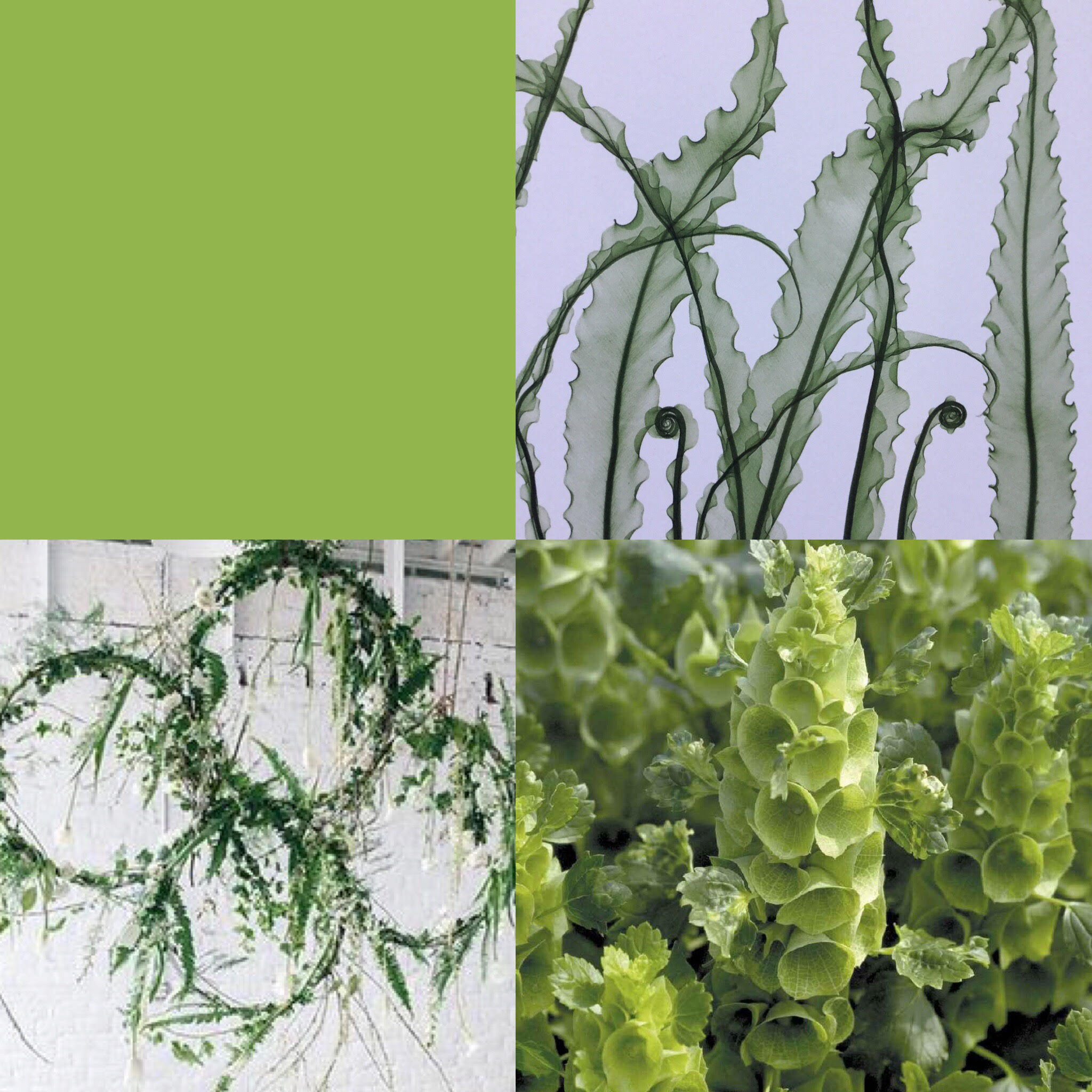 green.png