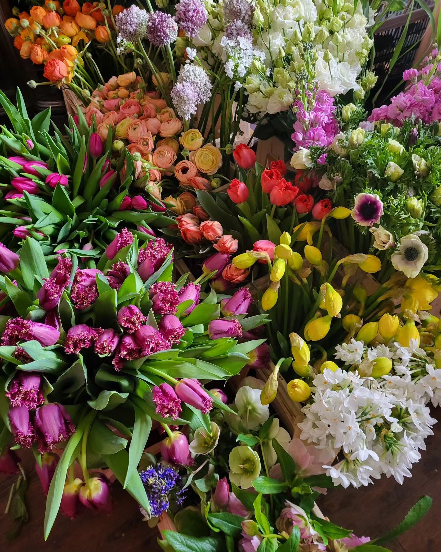 Snapshot of this week's palette of joy. Ranunculus, tulips, anemones, helebores, narcissi Spring flowers doing what they do best.
Excited to be heading over to @the_out_barn tomorrow too. It's going to be glorious!