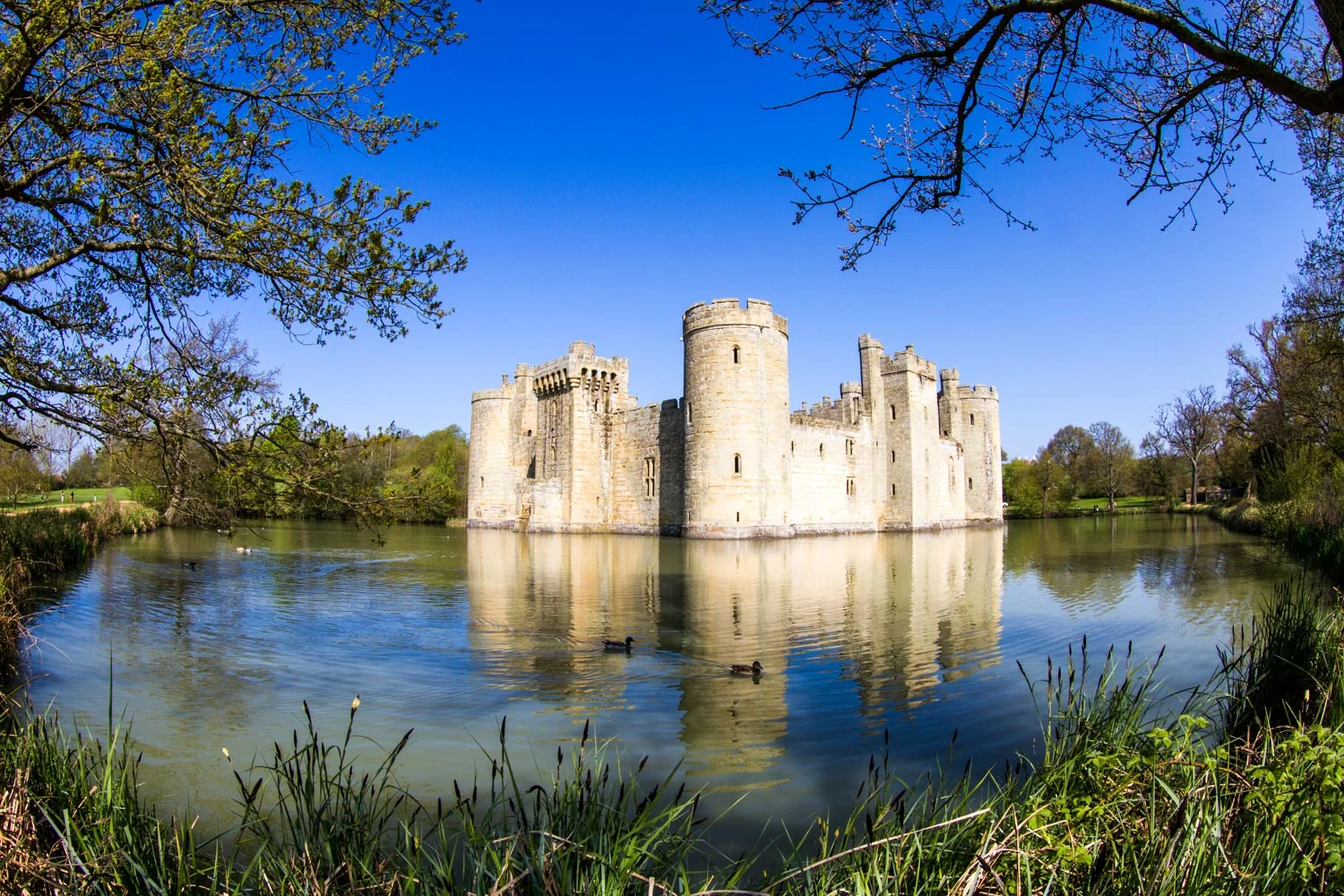Sussex_20.jpg