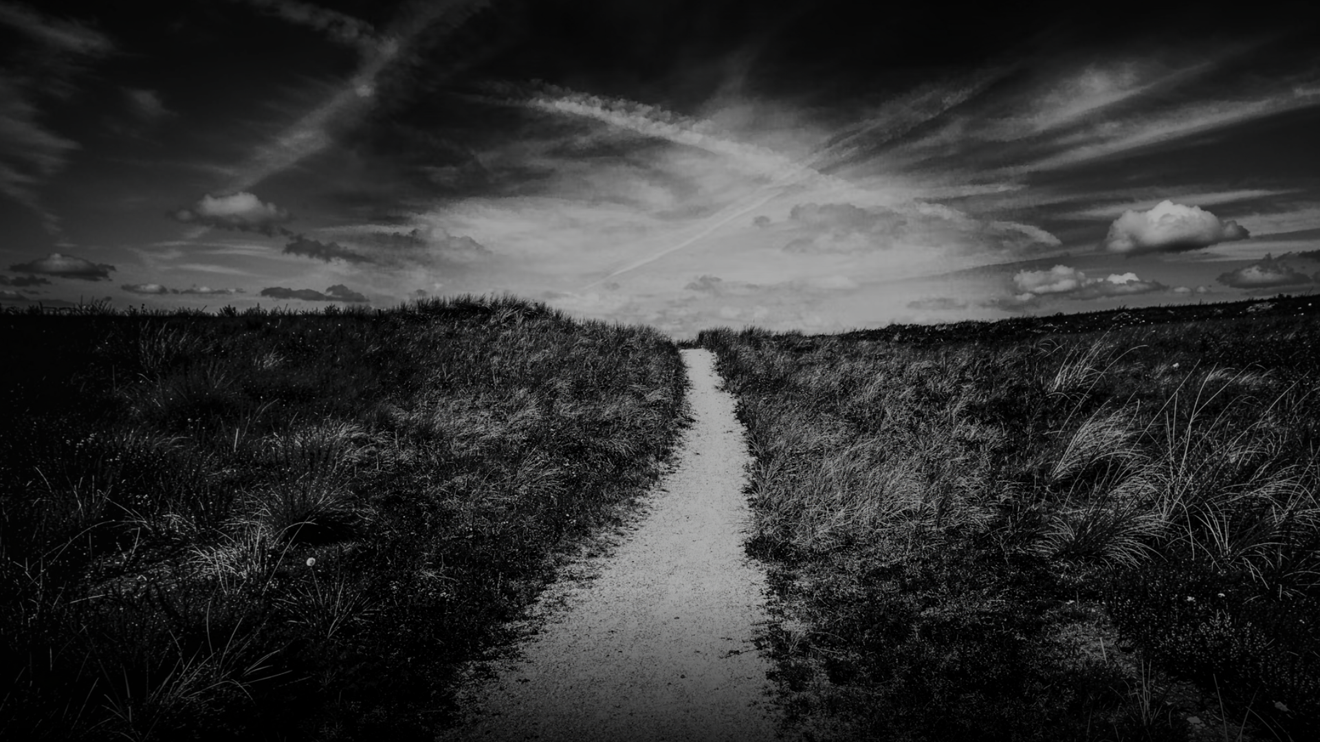the-narrow-way-bg.png