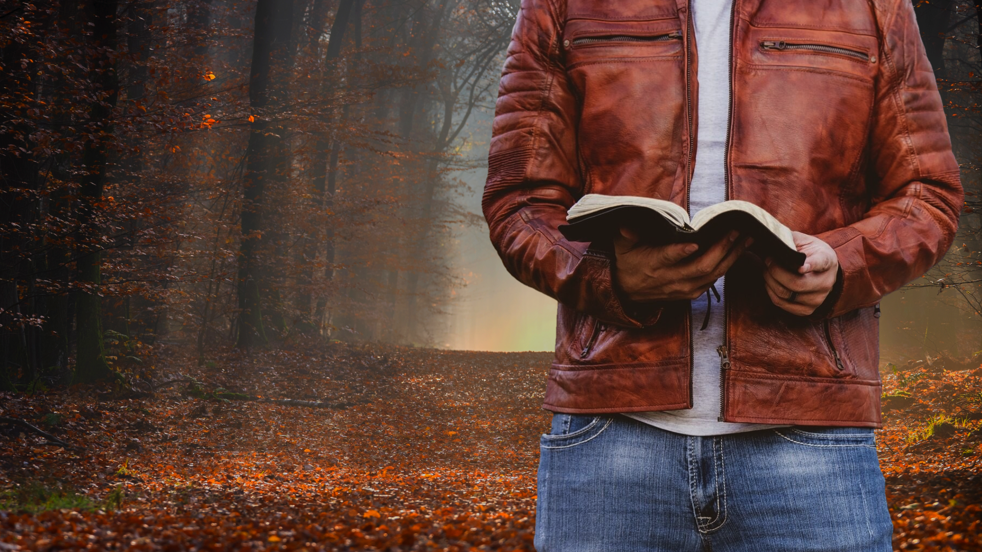 Wonder Working Word background.png