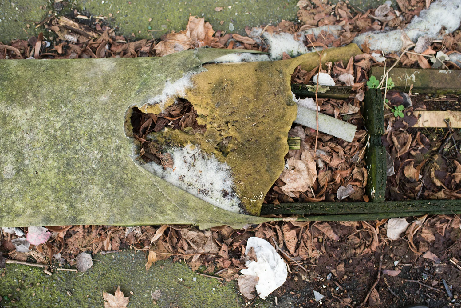 Su_Cassiano_Trash_Diary_What's Left Behind-0955.jpg