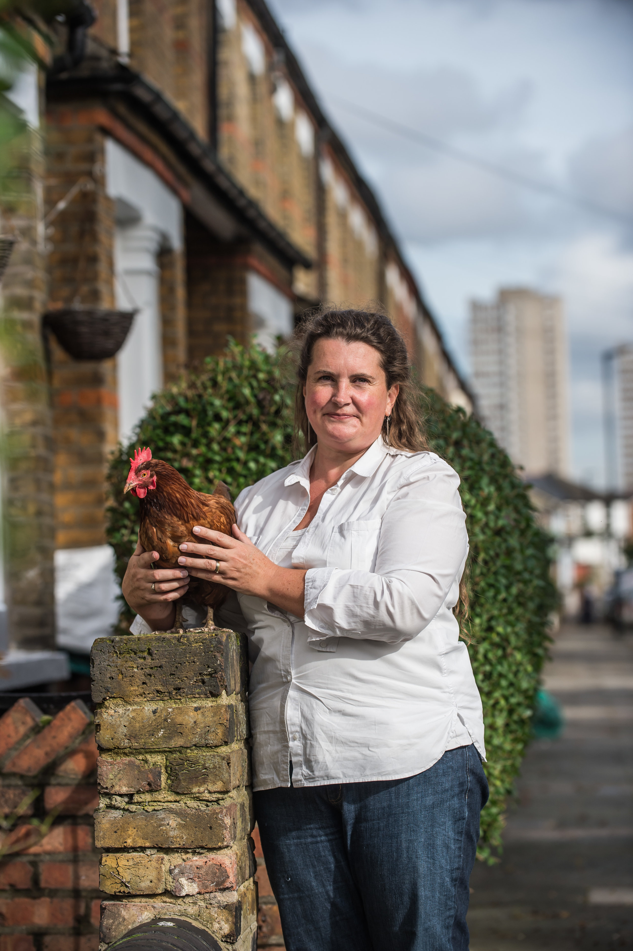 Hen Corner