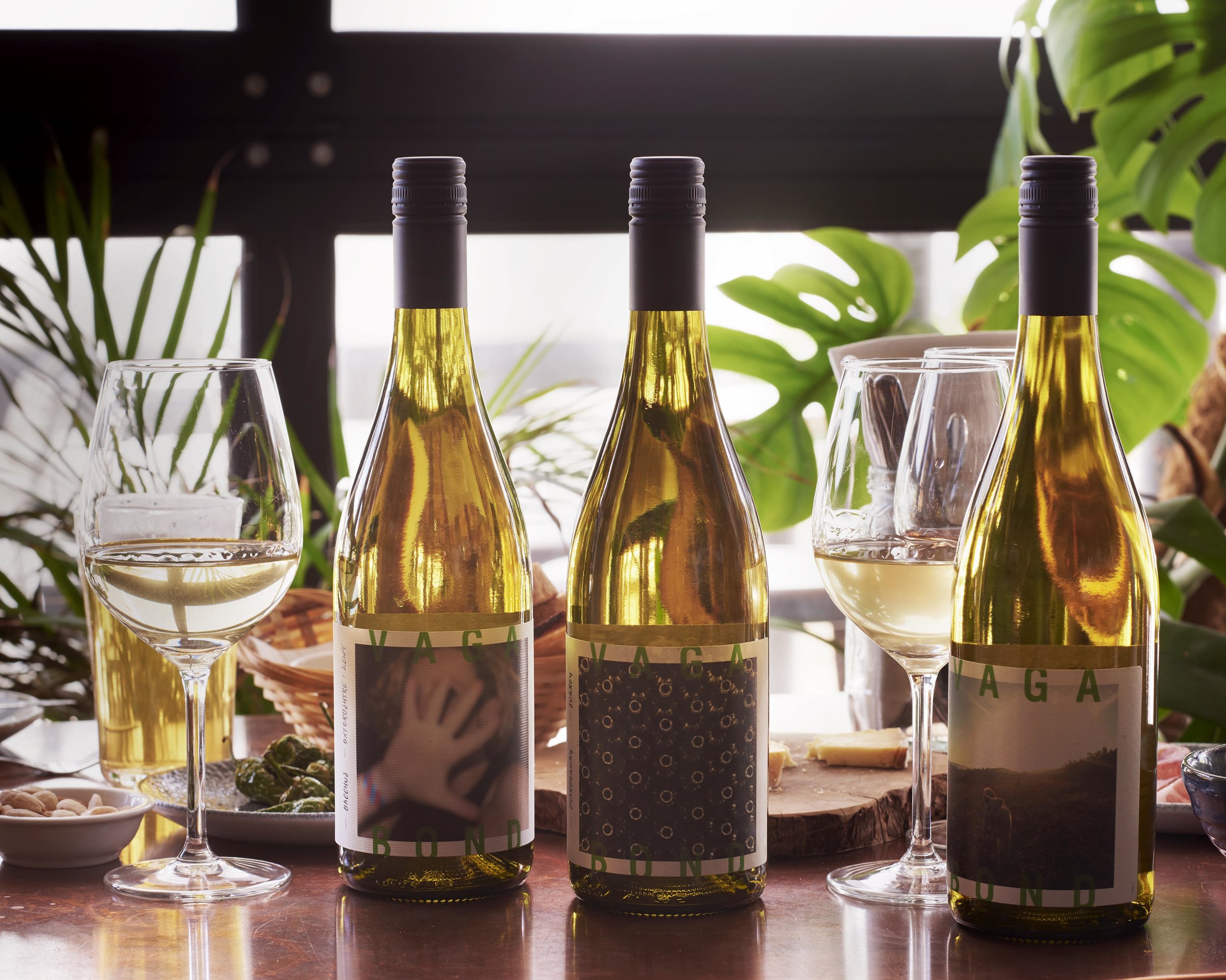 2018_09_25_VAGABOND_WINES_1838.jpg