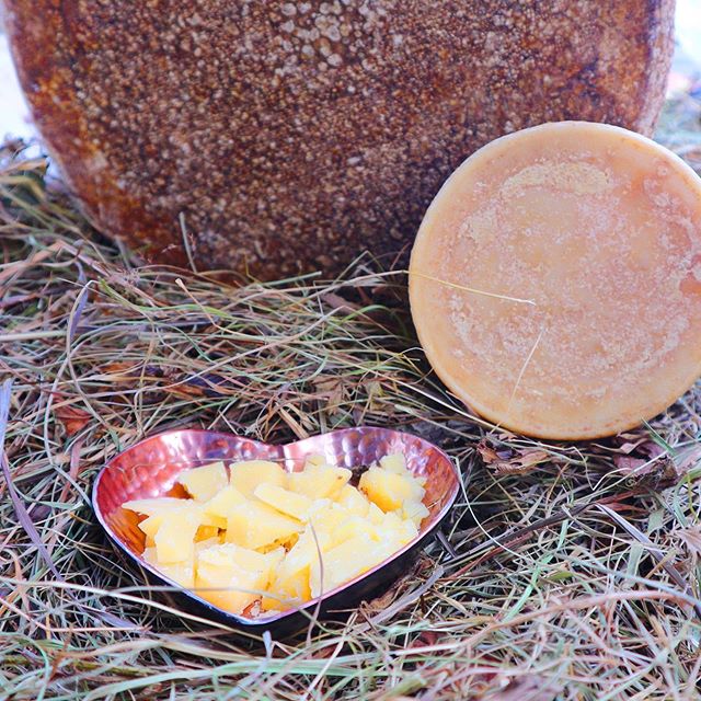 And that’s a wrap on #WeLoveCheese @batterseapwrstn - a massive thank you to all the cheese lovers, traders, speakers who came down and supported the event. We 💛 you .
.
#foodstagram #foodie #cheeselovers #cheese #wineandcheese #batterseapowerstation ##ThingsToDoInLondon #ThingsToDoLondon #OnlyInLondon #LotiLoves #ThingsToDo #FreeLondon ⠀