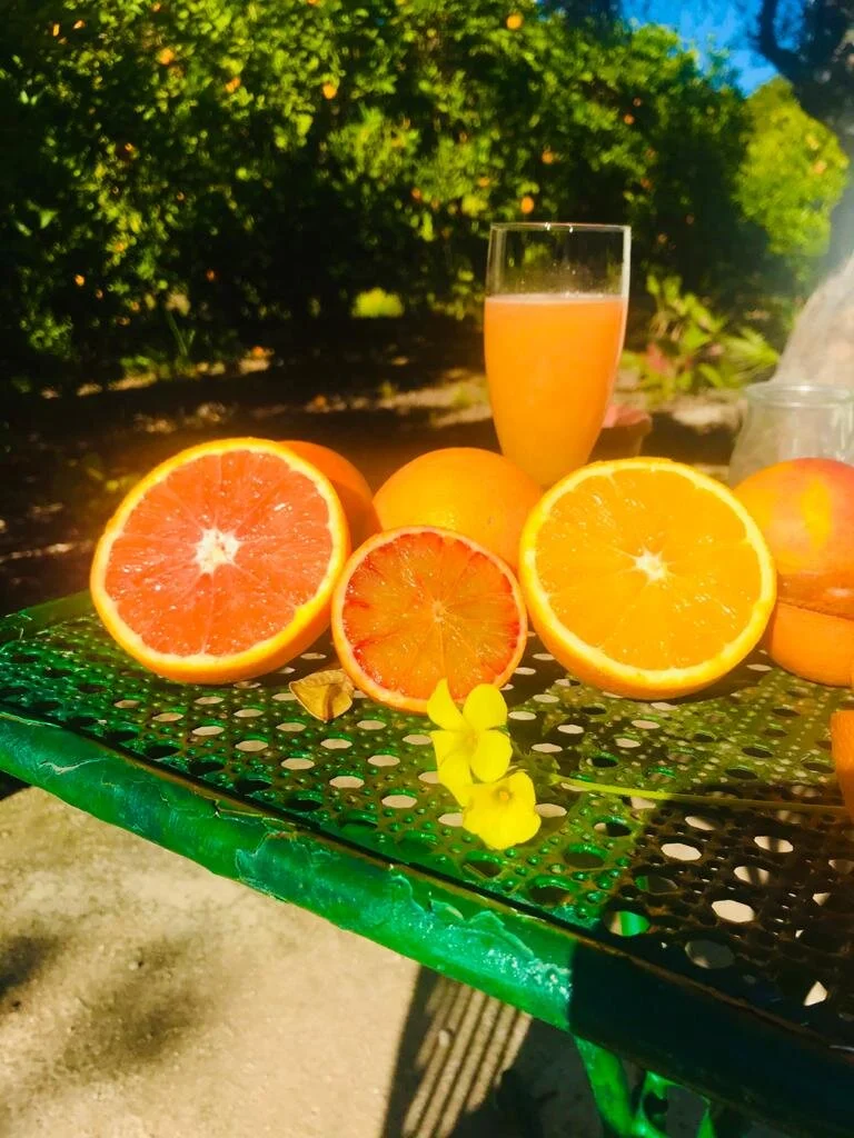 WhatsApp Image 2020-01-12 at 12.45.06.jpeg