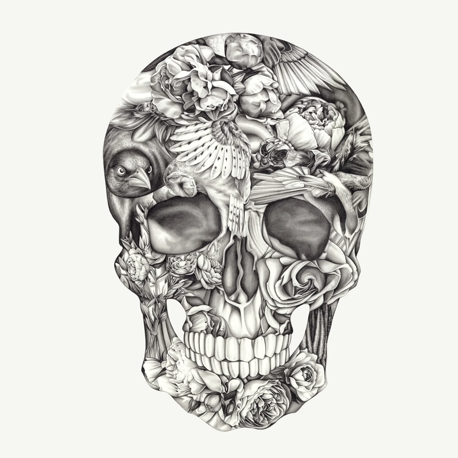 Aviary and Ivory_2015_Lauren Mortimer.jpg