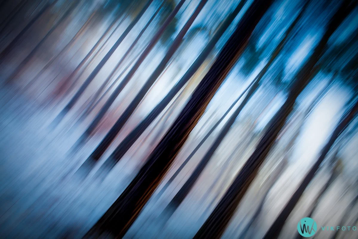 natur-foto-lang-lukkertid-bevegelse.jpg