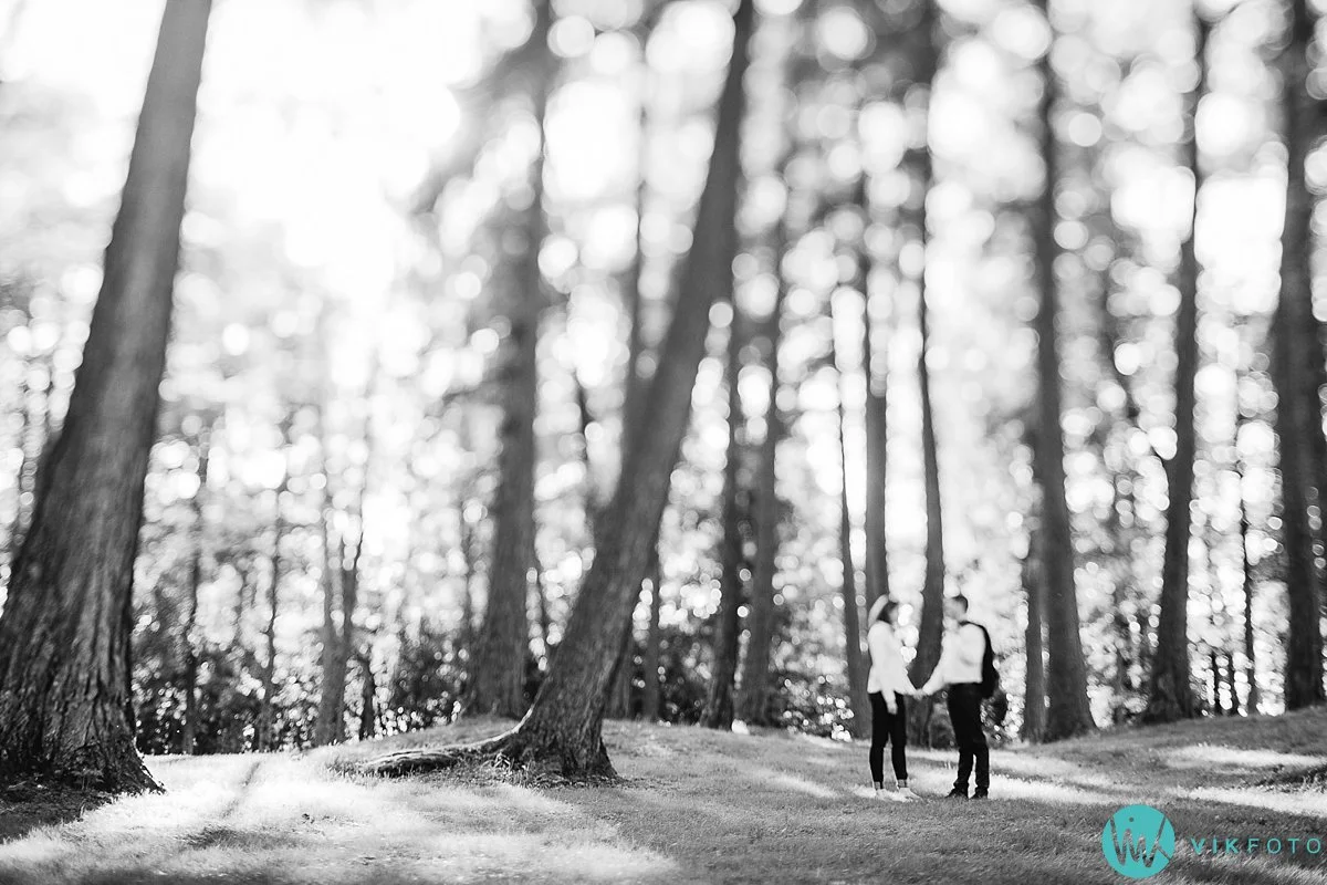 10-fotograf-sarpsborg-fredrikstad-hafslundparken