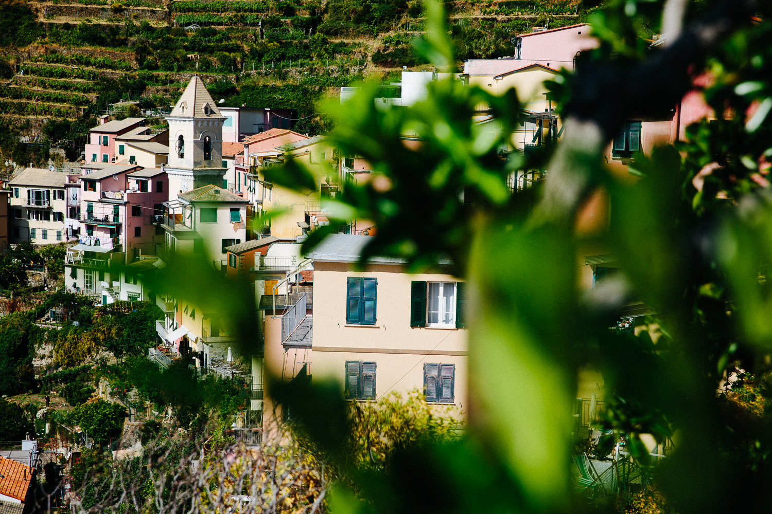 37-cinque-terre-manarola-reise-italia.jpg