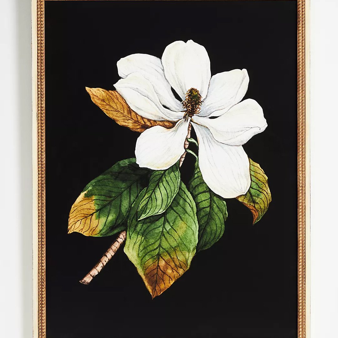 Anthropologie-Wall-Art-white-magnolia-by-Anna-Farba.jpg