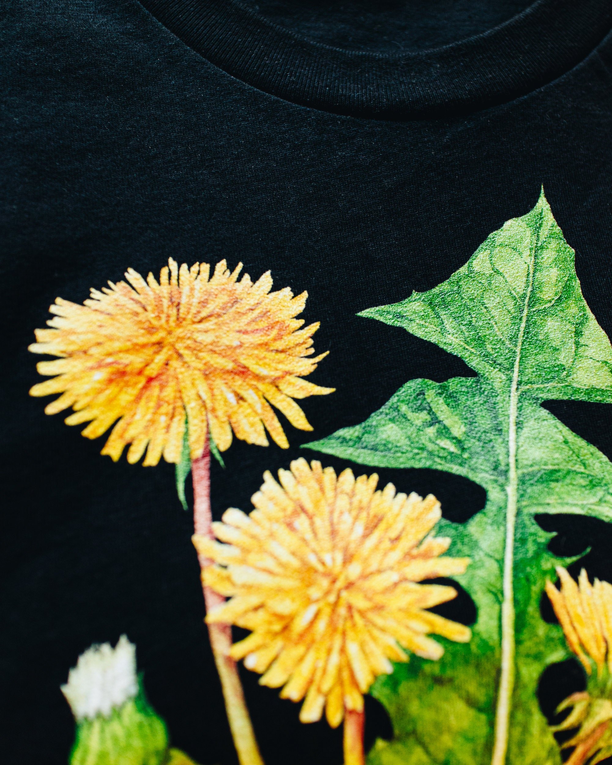 https://i.etsystatic.com/16507554/r/il/2b5a9e/2680600081/il_fullxfull.2680600081_s13r.jpg