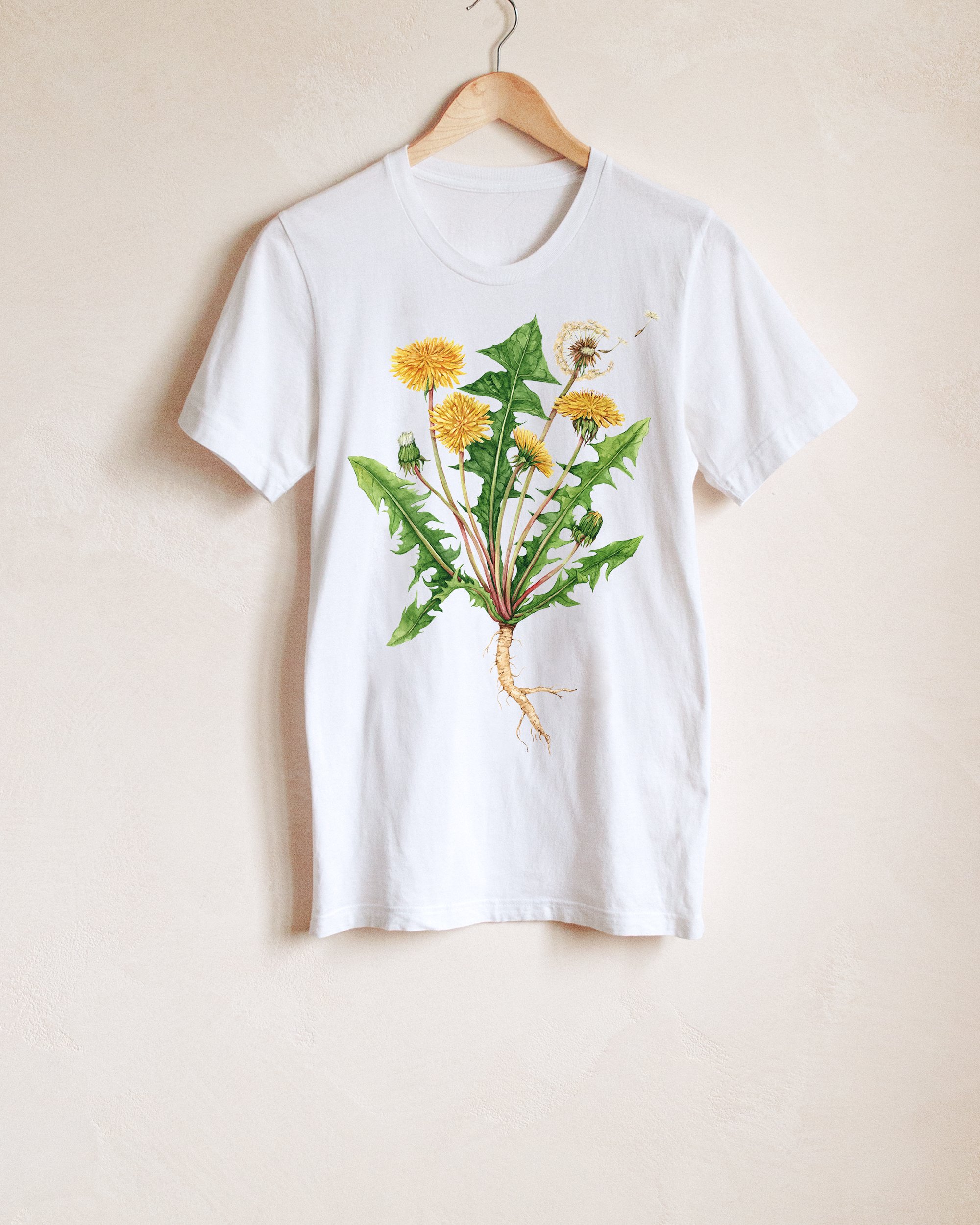 dandelion-on-white.jpg