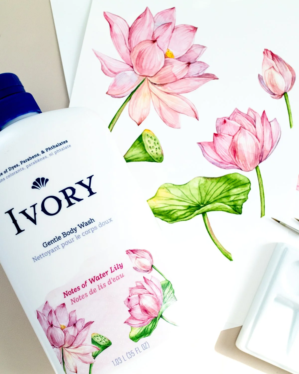 botanical illustration for Ivory body wash packaging