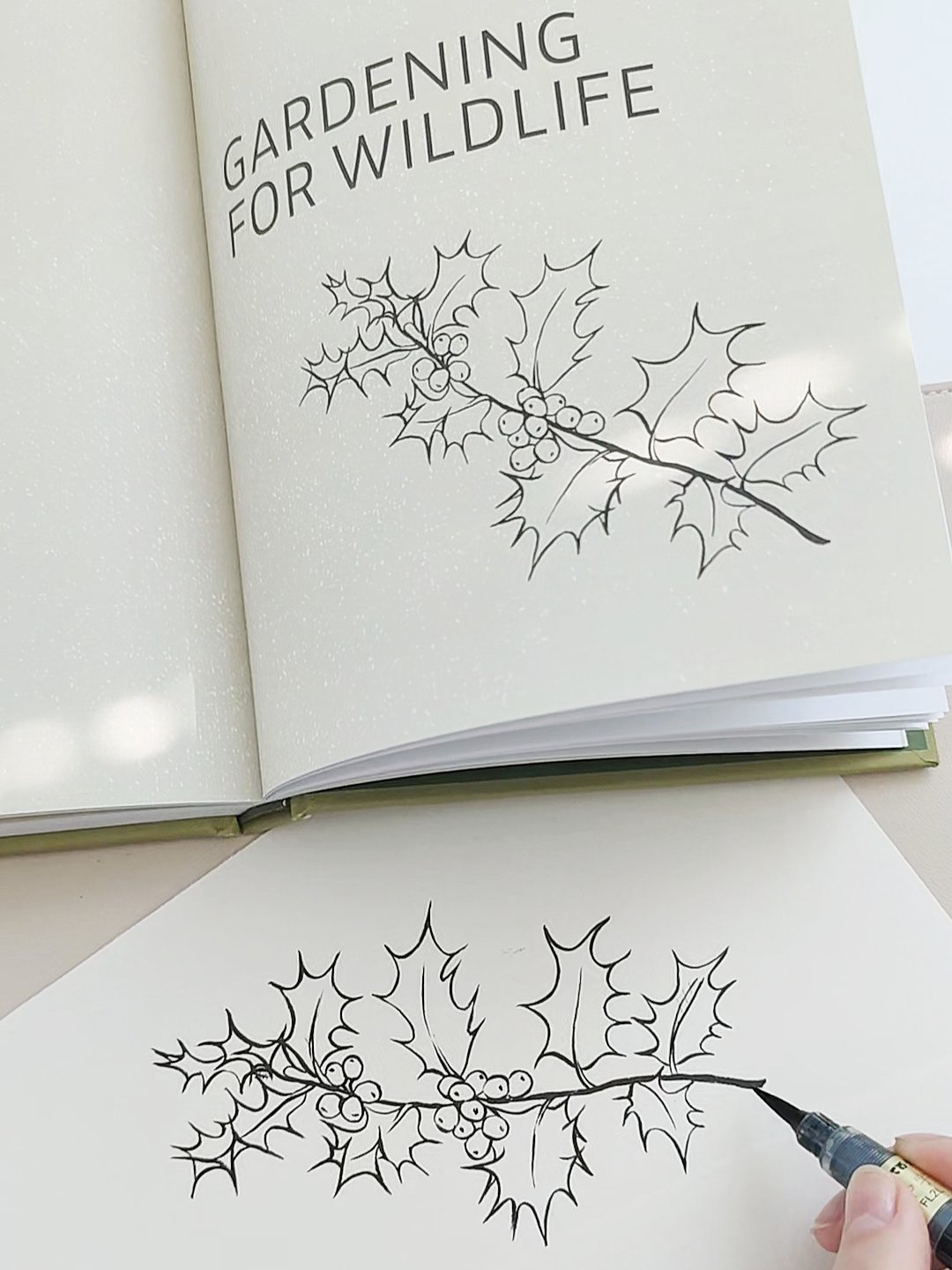 KEW answers gardening book illustrations by Anna Farba.jpg