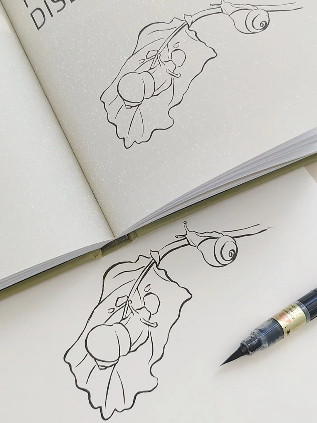 Minimal hand-painted gardening illustration created for a chapter opener in a non-fiction gardening reference book
