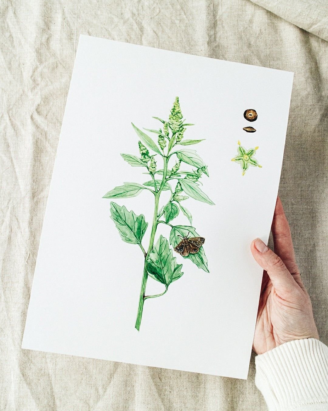 Being a botanical illustrator means spending a lot of time observing the small details&mdash;leaf shapes, petal edges, subtle shifts in color. It&rsquo;s a slow, intentional process that combines scientific observation with creative interpretation.

