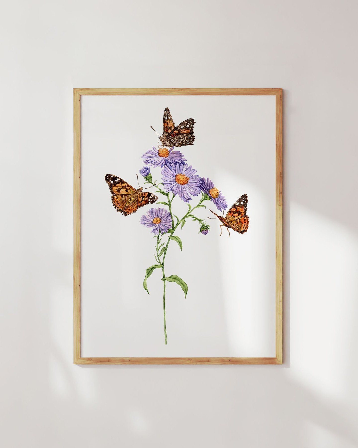 Pollinator Week &ndash; Day 3! Watercolor stories from the Butterfly Garden. Today I&rsquo;m sharing a glimpse into my Butterfly Garden series &mdash; a collection of hand-painted watercolor illustrations that highlight native plants and their butter