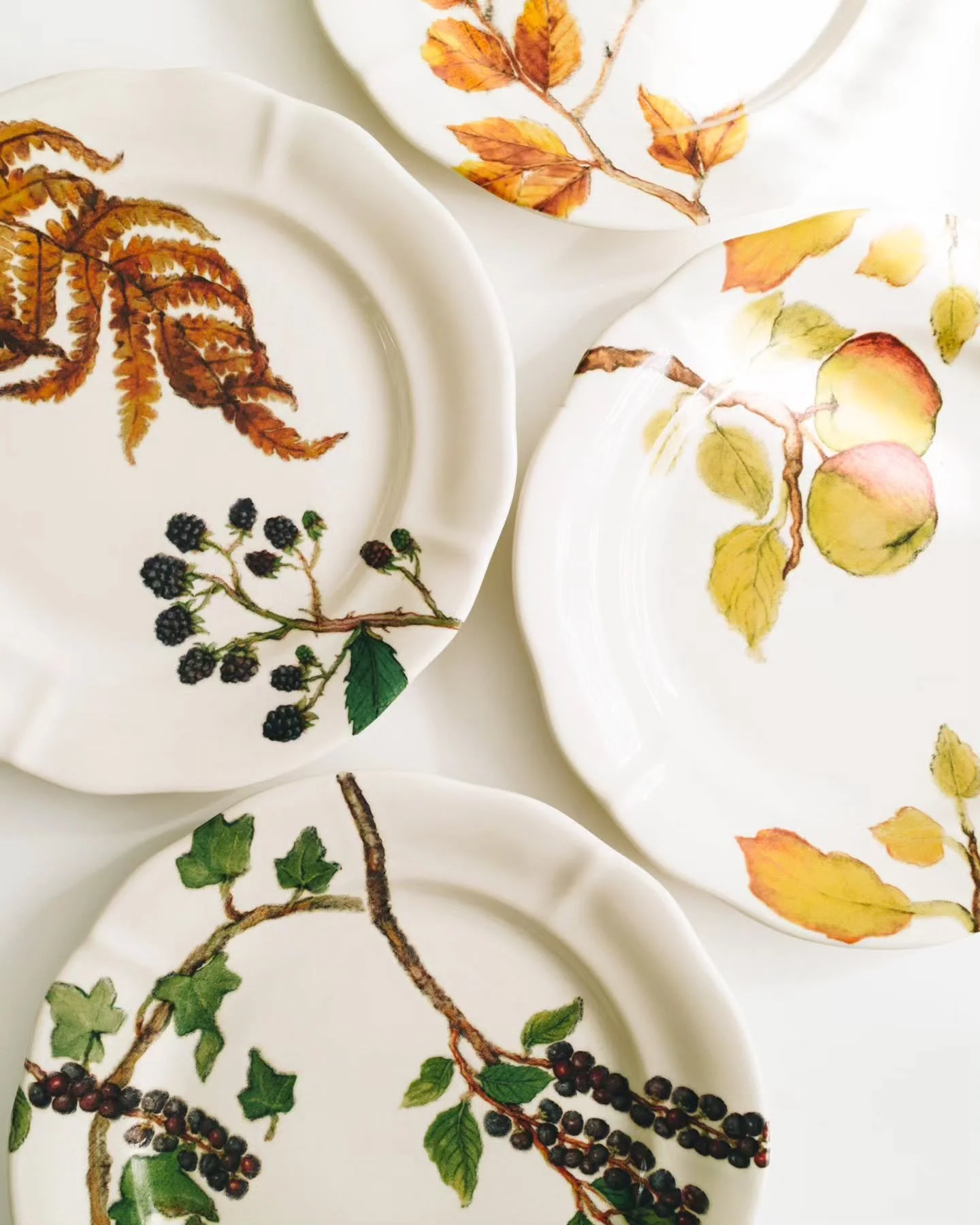 So thrilled to officially partner with Anthropologie! The Harvest Dessert Plates set, featuring my hand-painted botanical illustrations, is now available @anthropologiehome. Such an honor to see my artwork come to life on these beautiful pieces!

#an