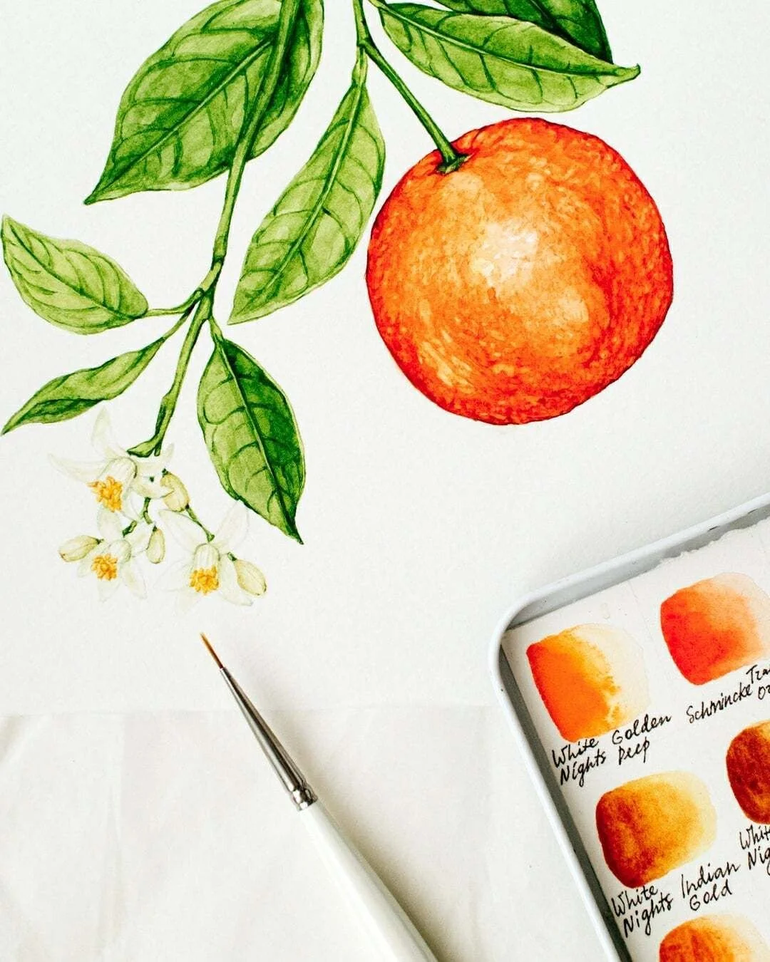 Citrus Orange Palette &ndash; Fall Inspiration 🧡 Lately, I&rsquo;ve been drawn to the warm, glowing tones of citrus oranges &mdash; from the zesty brightness of tangerines to the deeper, almost golden hue of fall mandarins. Painting this palette in 