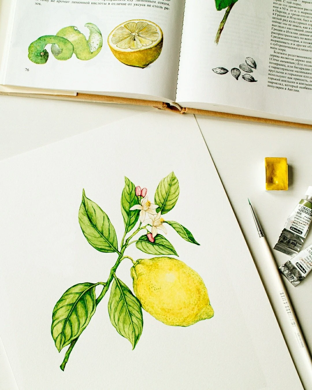 The Lemons &ndash; Fall Citrus💛 Bright, fresh, and full of character. For this piece, I layered soft washes of yellow, then added glazes to build depth and highlight the dimpled surface. Painting fruit in watercolor is such a joy: the transparency a