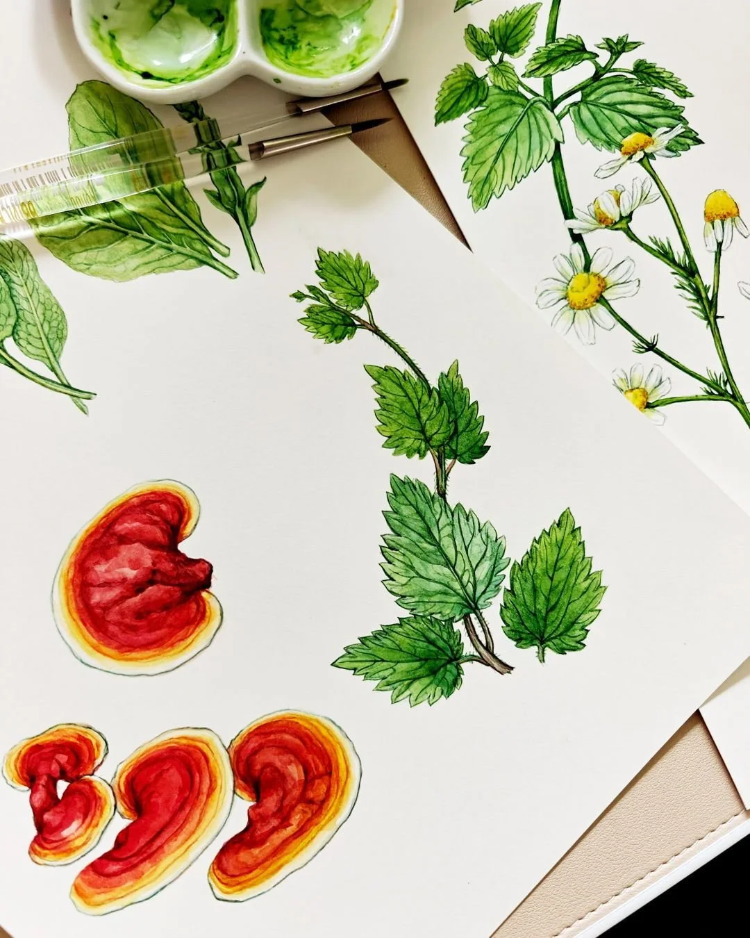 I&rsquo;m so excited to finally share a peek at the book I illustrated with Storey Publishing @storeypub, written by the wonderful Maria Noel Groves @marianoelgroves 🌿 

Each botanical piece started as a watercolor painting in my studio, and now the