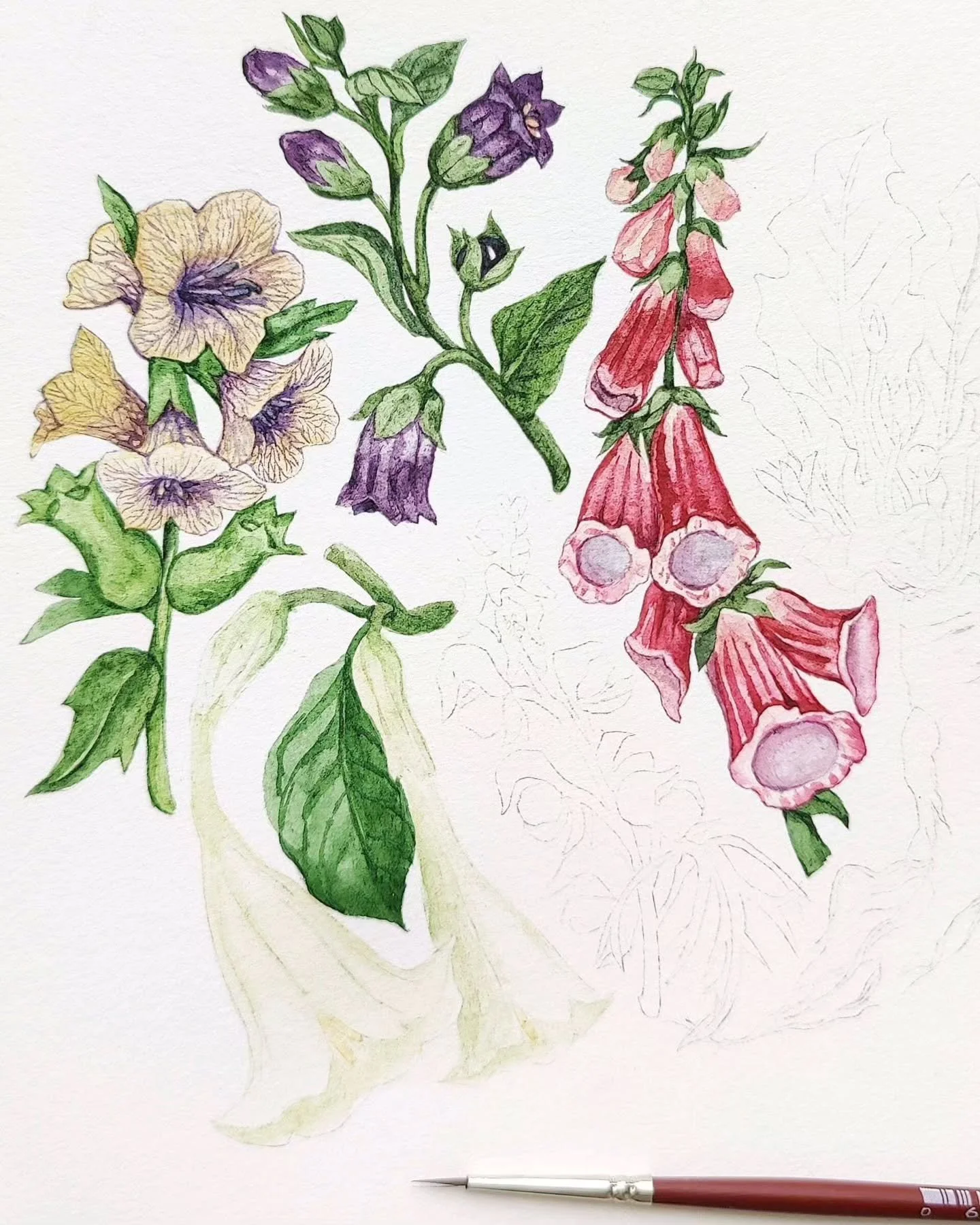 Step into the Poison Garden&hellip; 🖤

This series explores the darker side of botany &mdash; plants that are as beautiful as they are dangerous. I&rsquo;ve always been fascinated by how nature carries both medicine and poison, often within the same