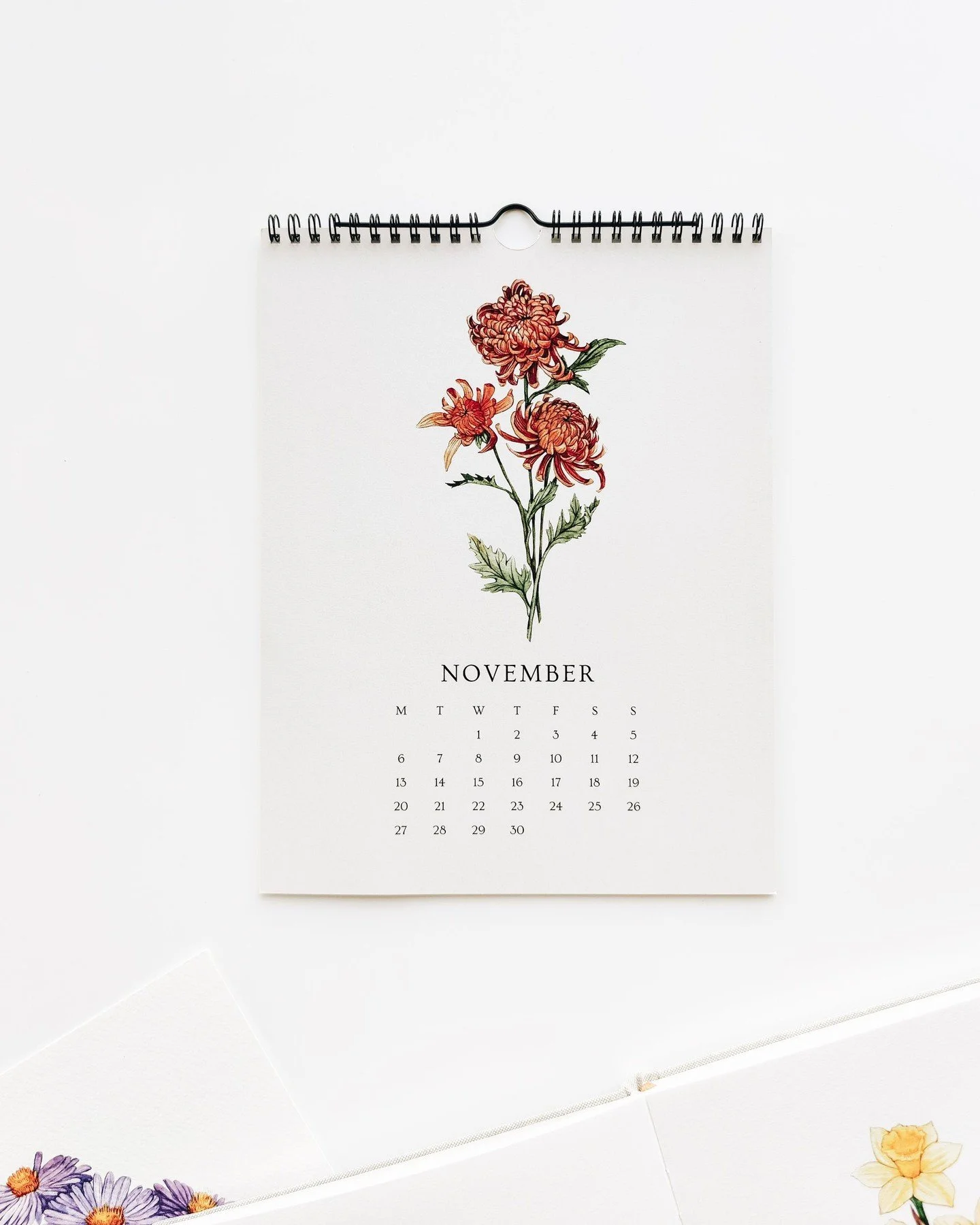Exciting news: My 2026 Watercolor Birth Flower Calendar is now live on Etsy! It features hand-painted illustrations of each month&rsquo;s birth flower, including November&rsquo;s Chrysanthemum, and makes a thoughtful gift or a bright, floral touch fo