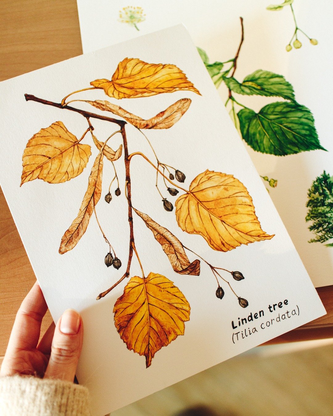 As the seasons shift, I find endless inspiration in the subtle changes of color and light. Each season brings its own palette &mdash; from the golden tones of autumn to the quiet, muted hues of winter. Creating seasonal artwork helps me slow down and