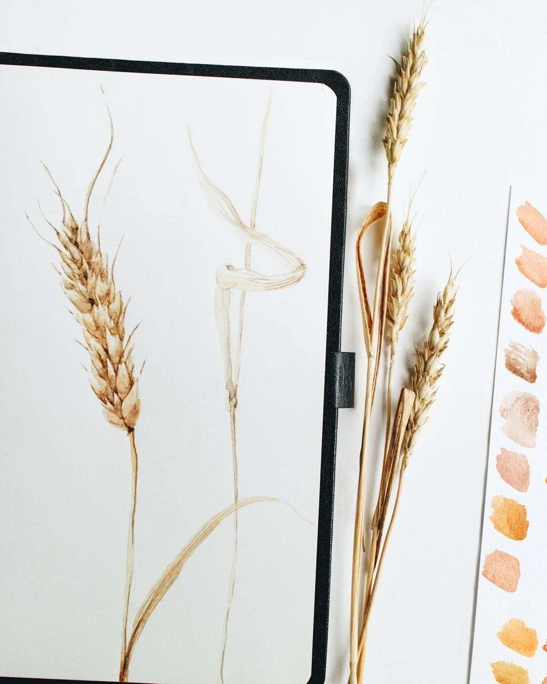 I&rsquo;ve been inspired by the textures and golden tones of autumn grains &mdash; wheat, barley, and oats catching the late-season light. There&rsquo;s something grounding about these symbols of abundance and the quiet beauty of the harvest season. 