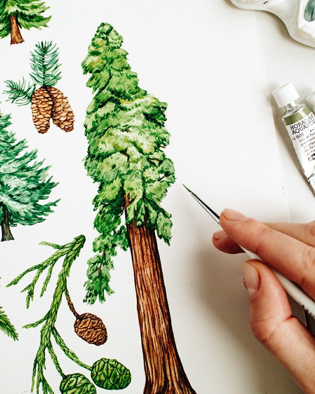 A love letter to trees &mdash; the quiet keepers of time. I never tire of painting their shifting colors, intricate branches, and their resilience through every season. Each tree tells a story of patience and renewal, reminding me to slow down and lo