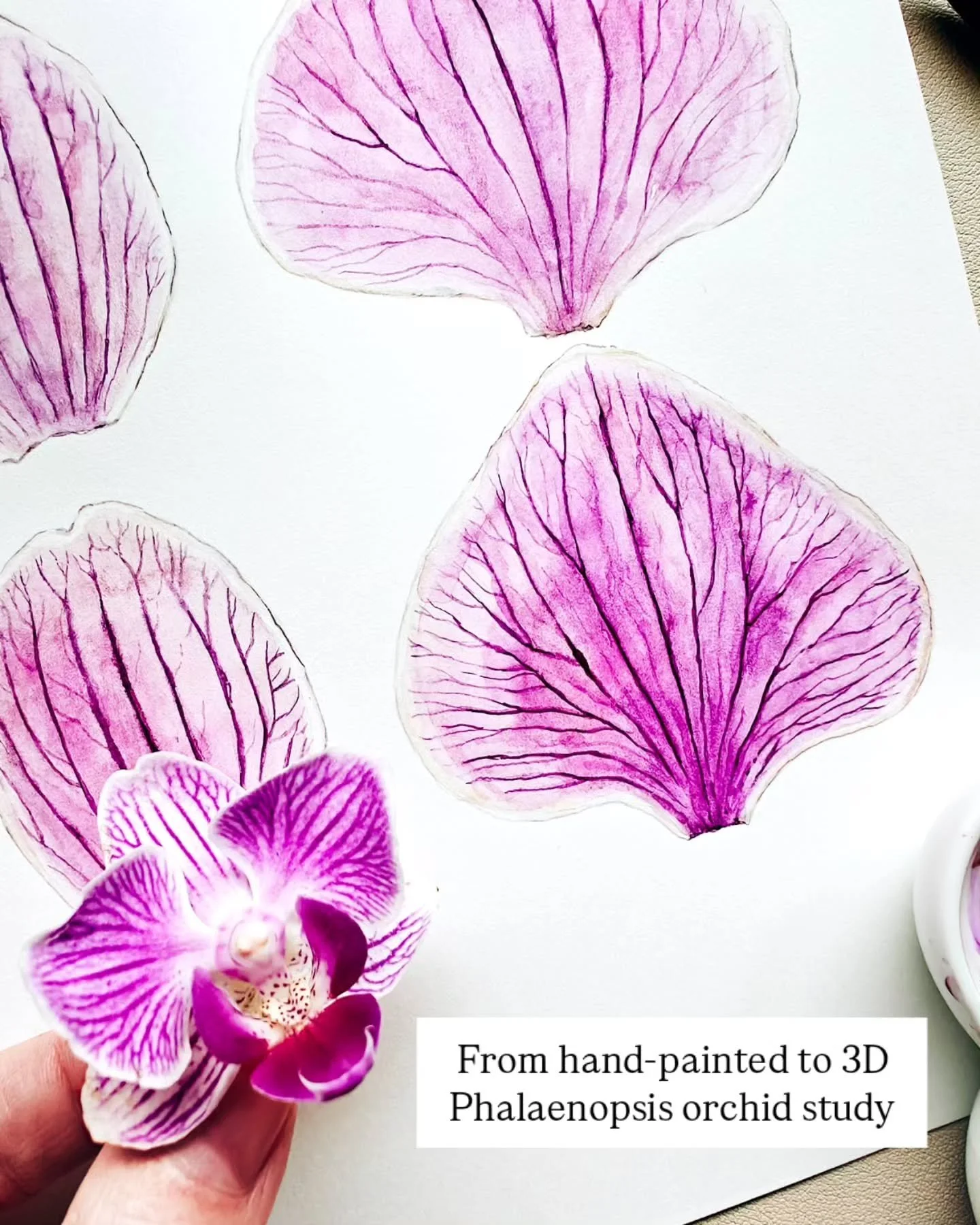 3D Botanical Art Experiment: I&rsquo;m excited to share a new direction I&rsquo;ve been exploring behind the scenes. After more than a decade of working as a botanical illustrator, I&rsquo;ve started learning 3D as a way to expand my creative practic