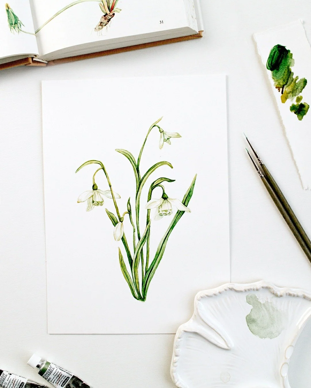 Snowdrops (Galanthus nivalis) are often associated with renewal and early spring &mdash; making them a meaningful botanical ingredient for seasonal storytelling.

Their simple form and limited palette translate well across illustration, packaging, an