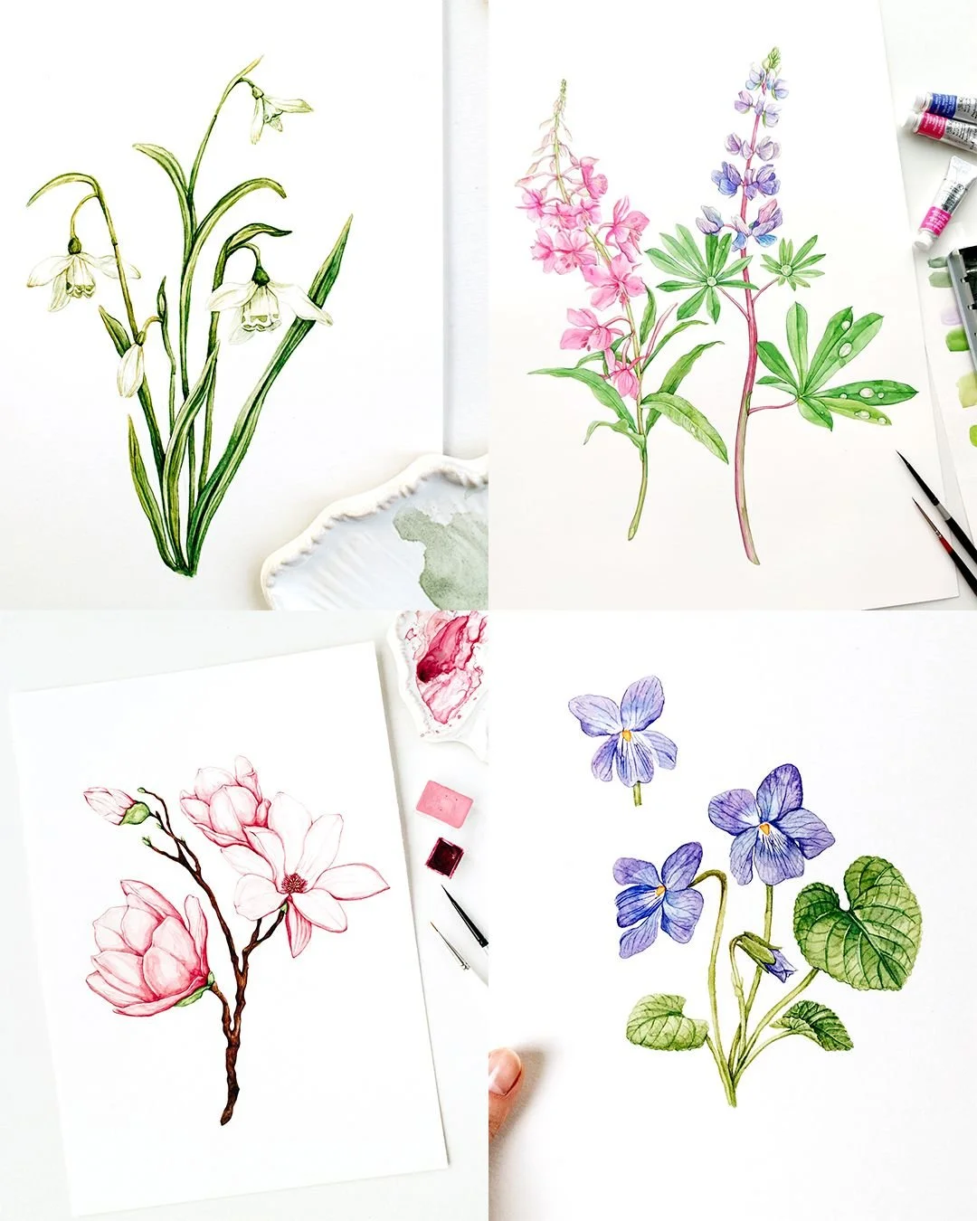 Spring Botanical Palette 🌸 I'm always excited to see those wildflowers waking up, and every plant I study brings more inspiration to explore.

#botanicalillustration #watercolorbotanicals #springflowers #flowerstudy #botanicalartist