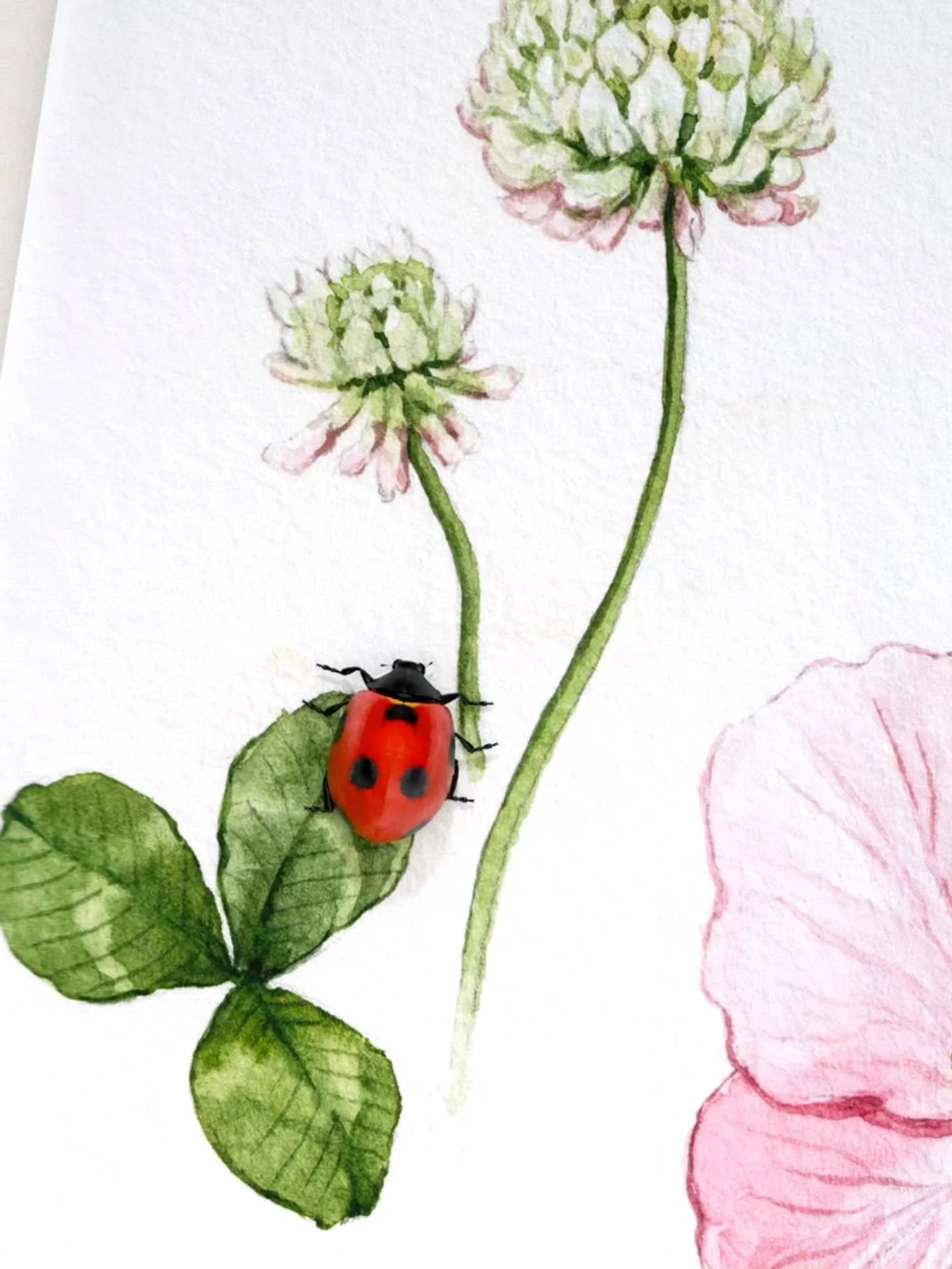 Ideas from my botanical sketchbook 

#ladybug #botanicalart #natureillustration #3dillustration #botanicalillustration